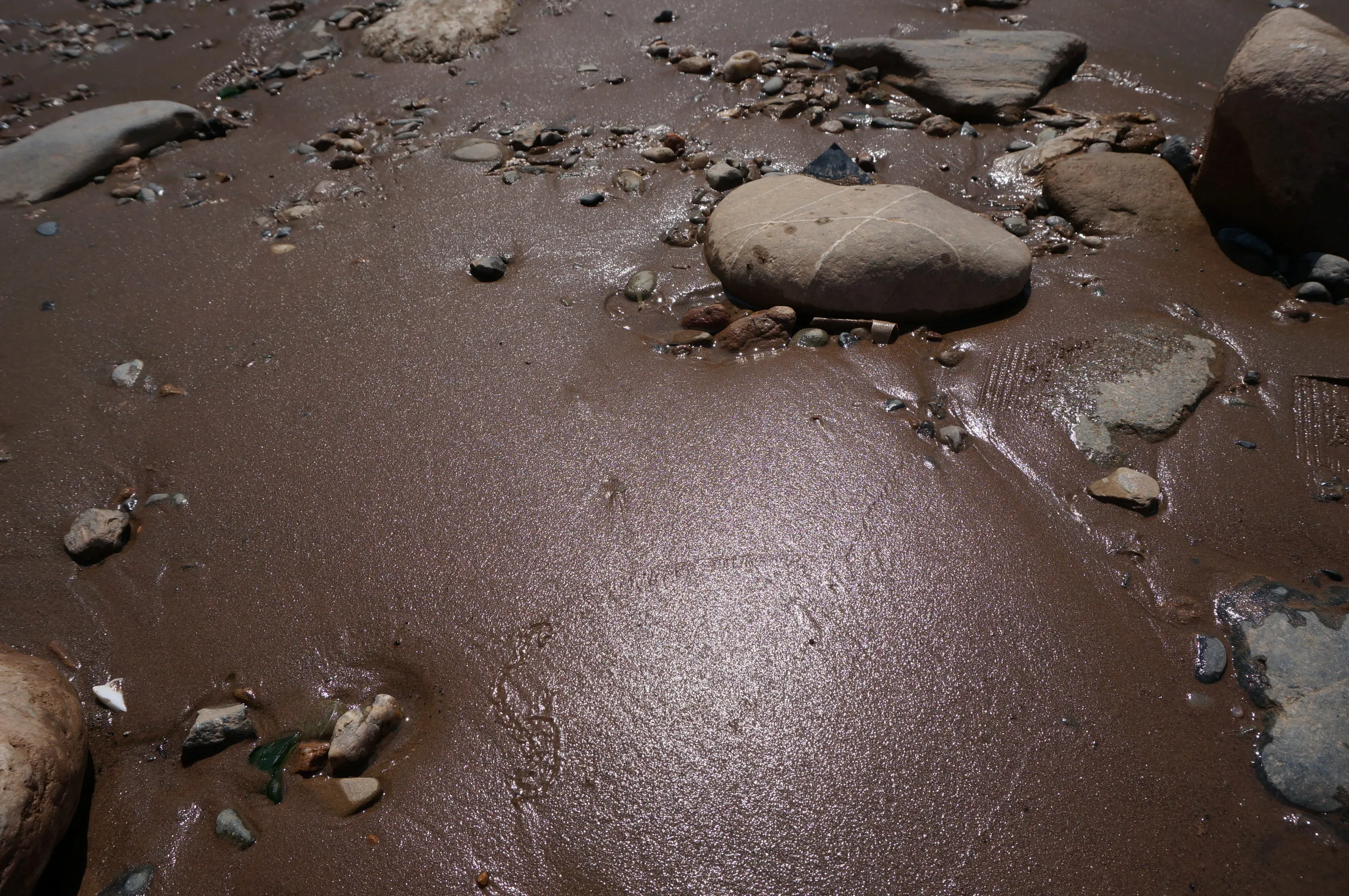 打ち寄せる黄河の波際、河岸を散歩