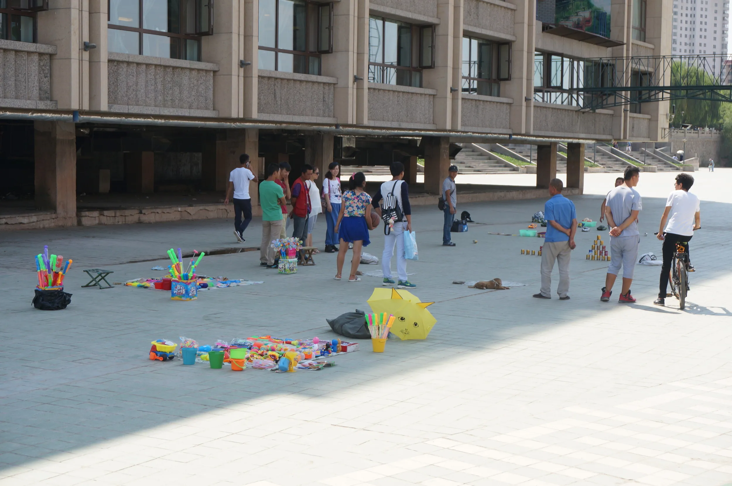黄河の河岸を黄河母親像を目指しつつ散歩
