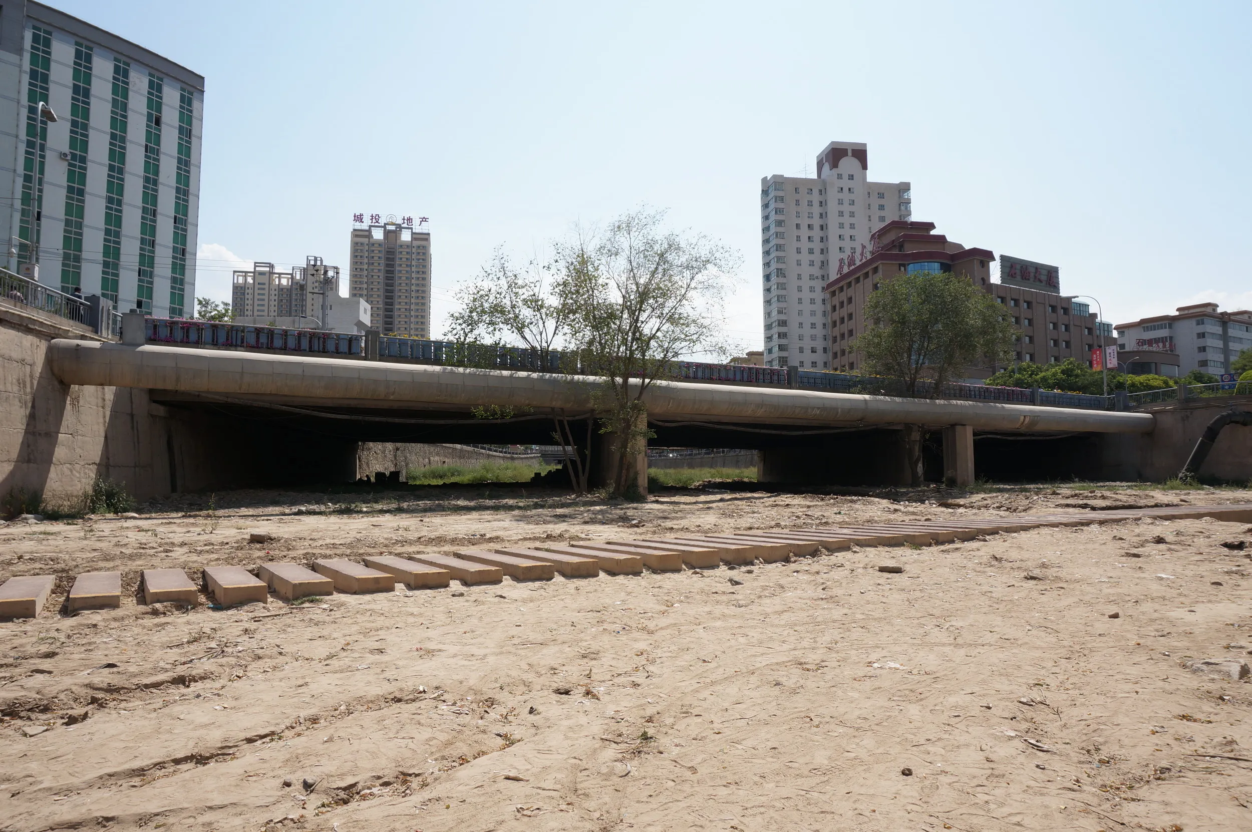 黄河の河原をまったり散歩