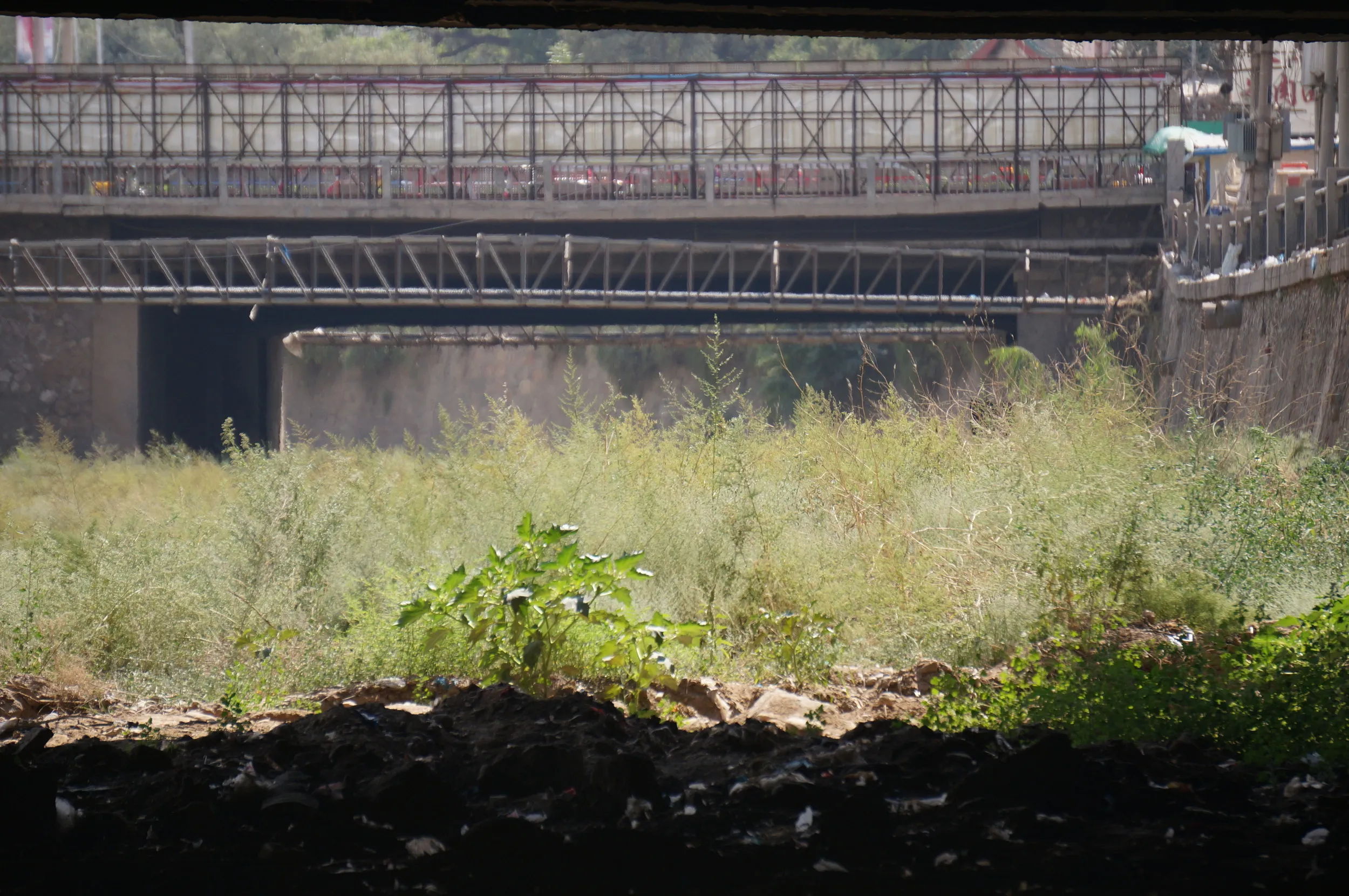 小川の上流を眺める