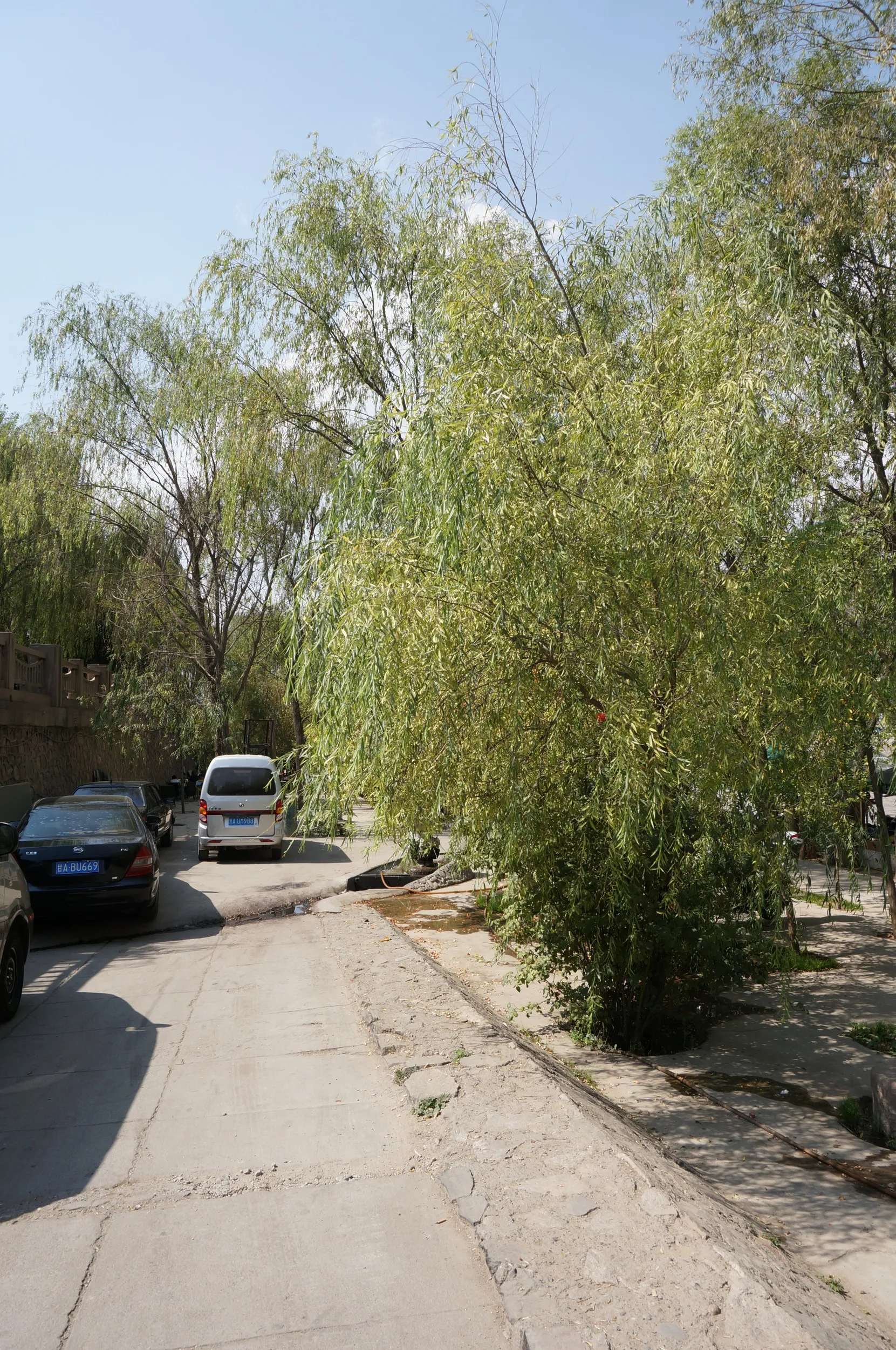 黄河母親像へ向かう