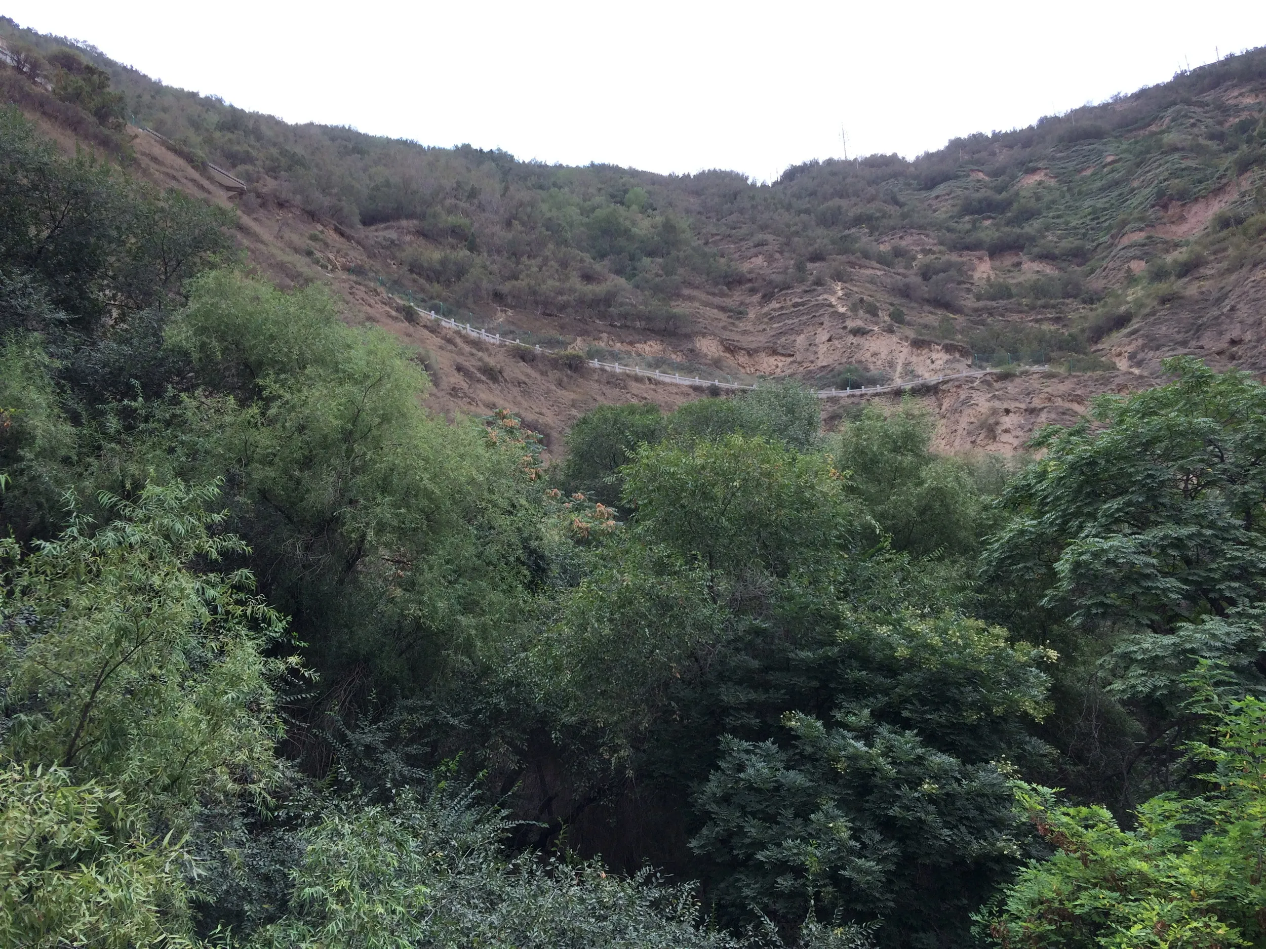 五泉山公園内の風景