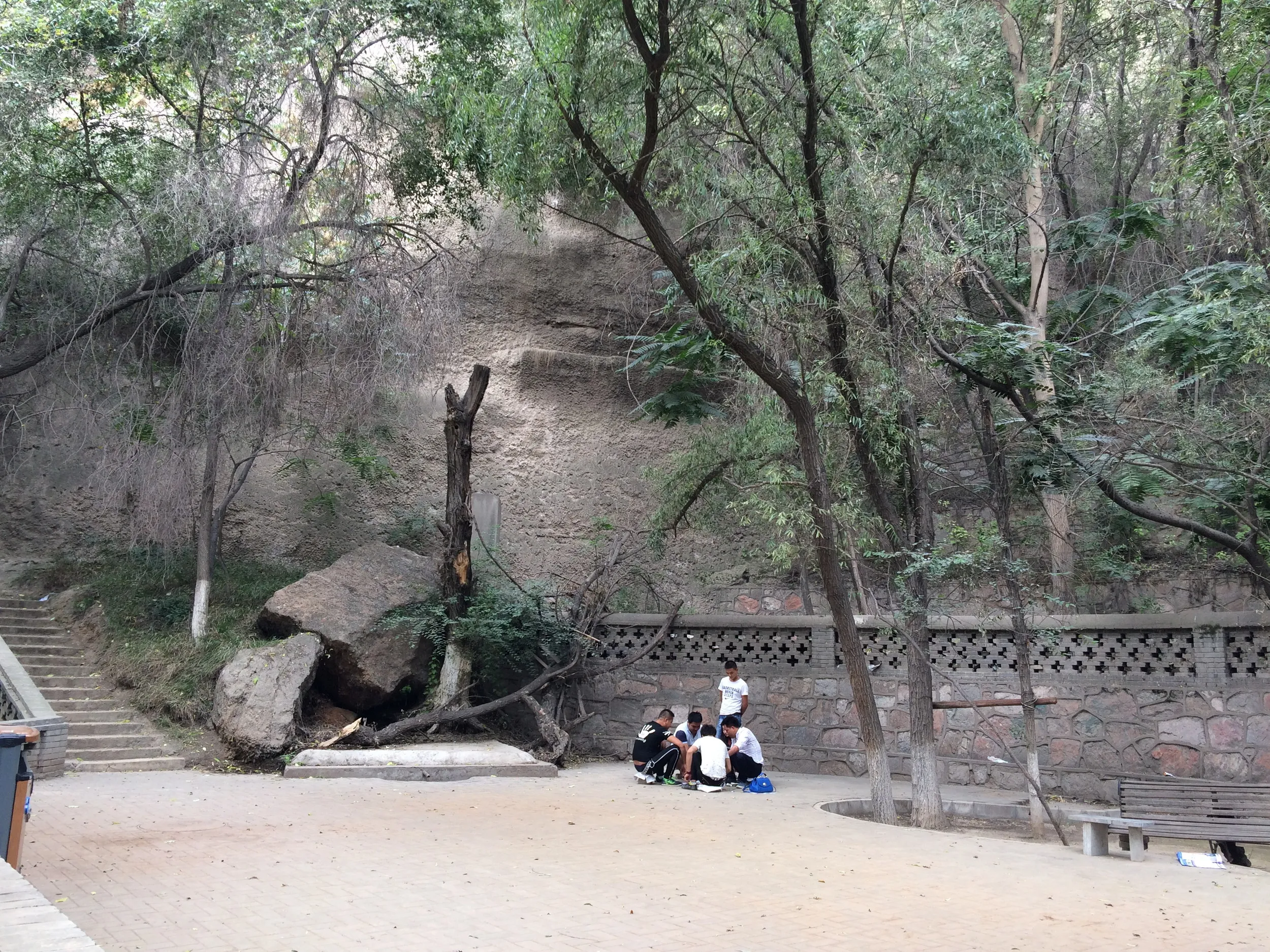 五泉山公園の風景