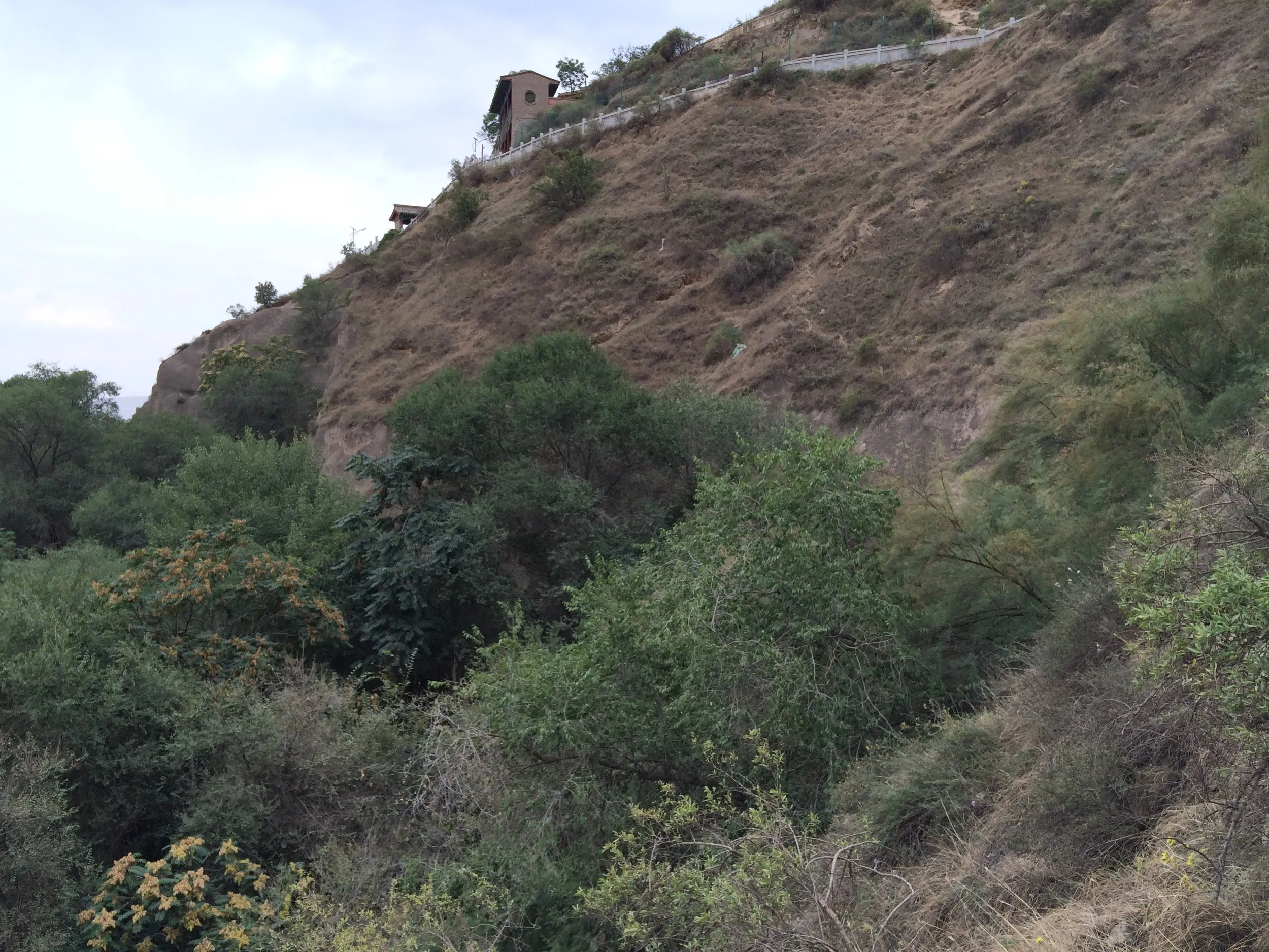 山道をトレッキング