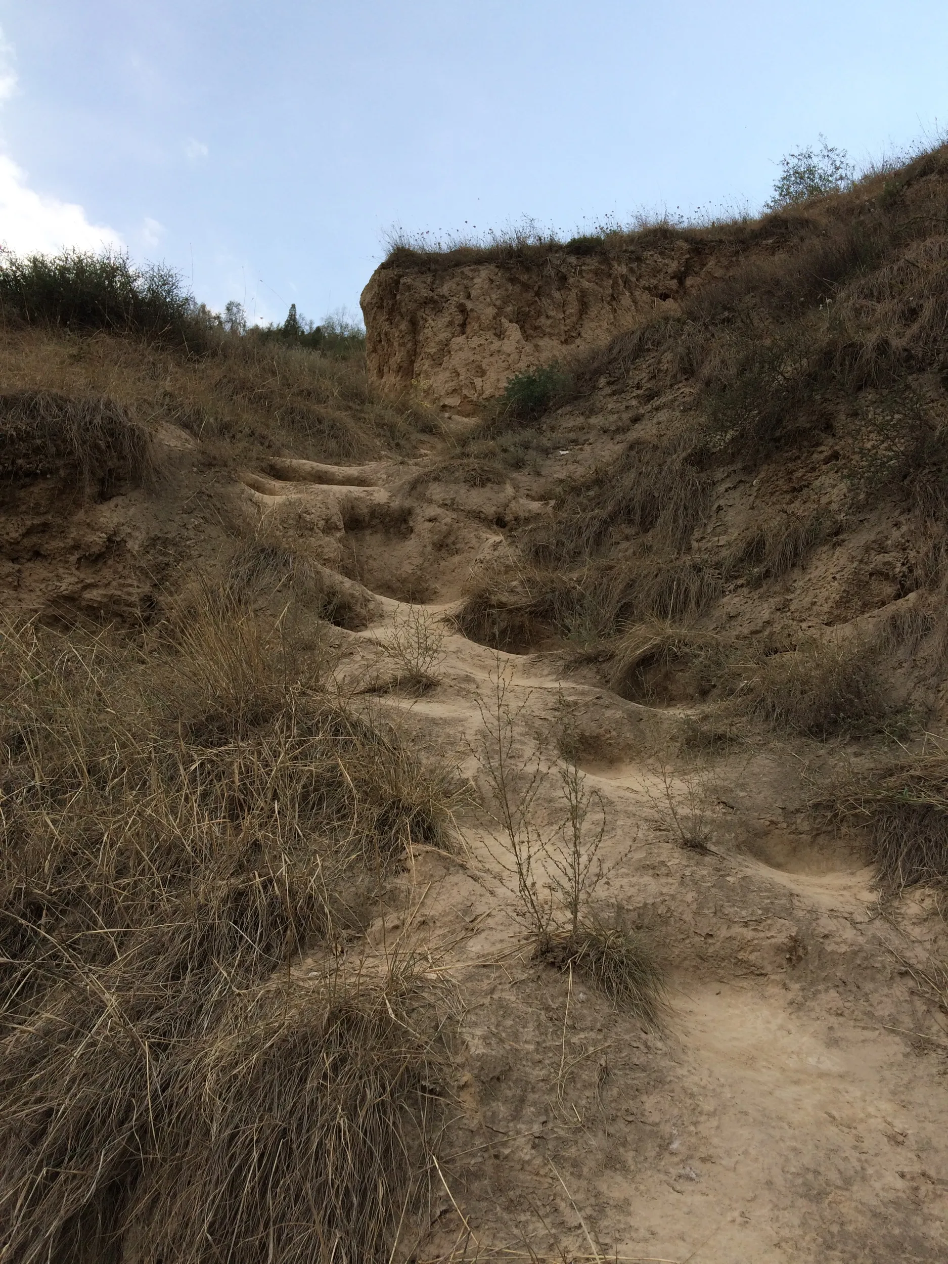 急な山道をトレッキング