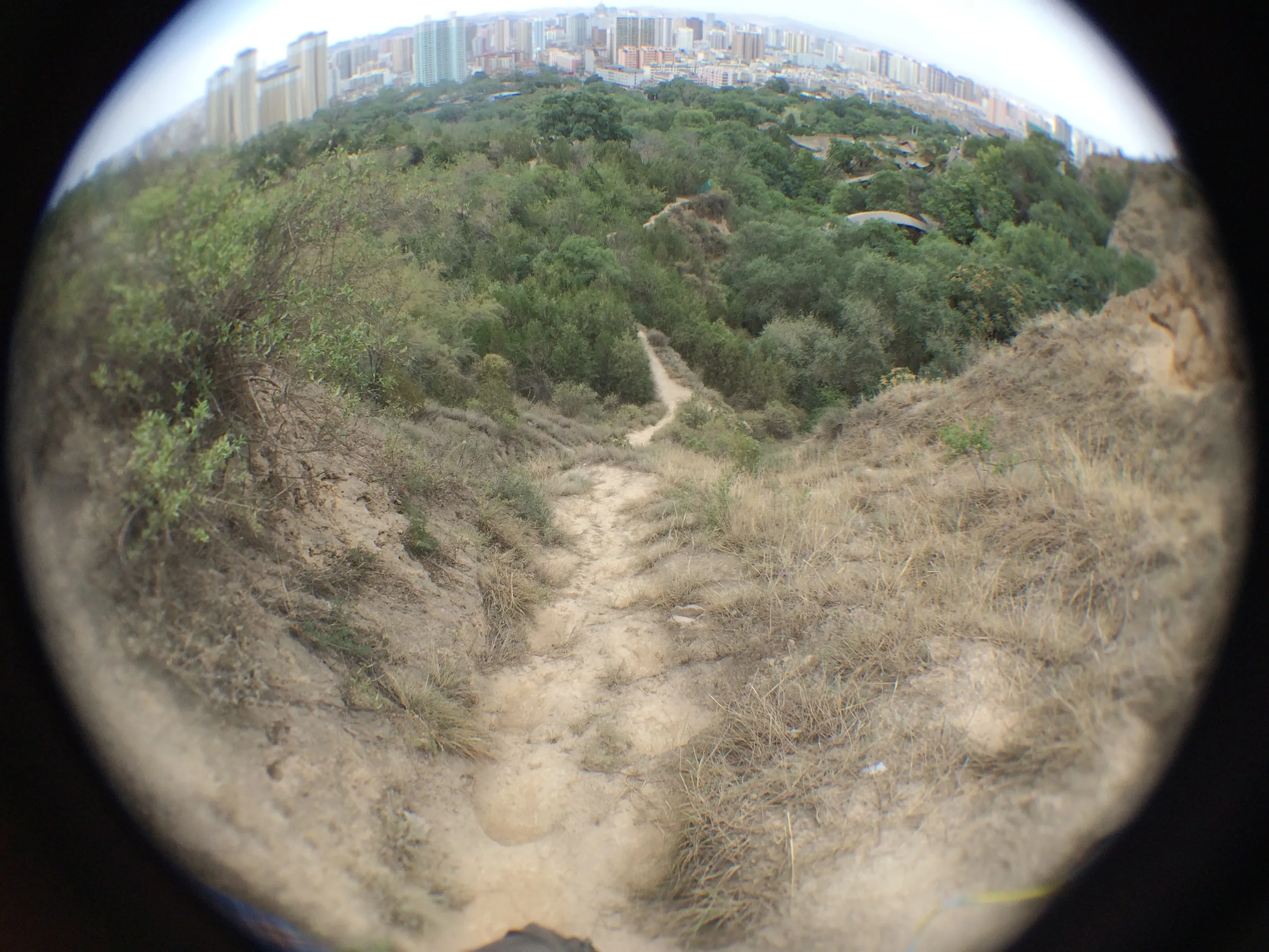 LomoのFisheye2で撮影した写真