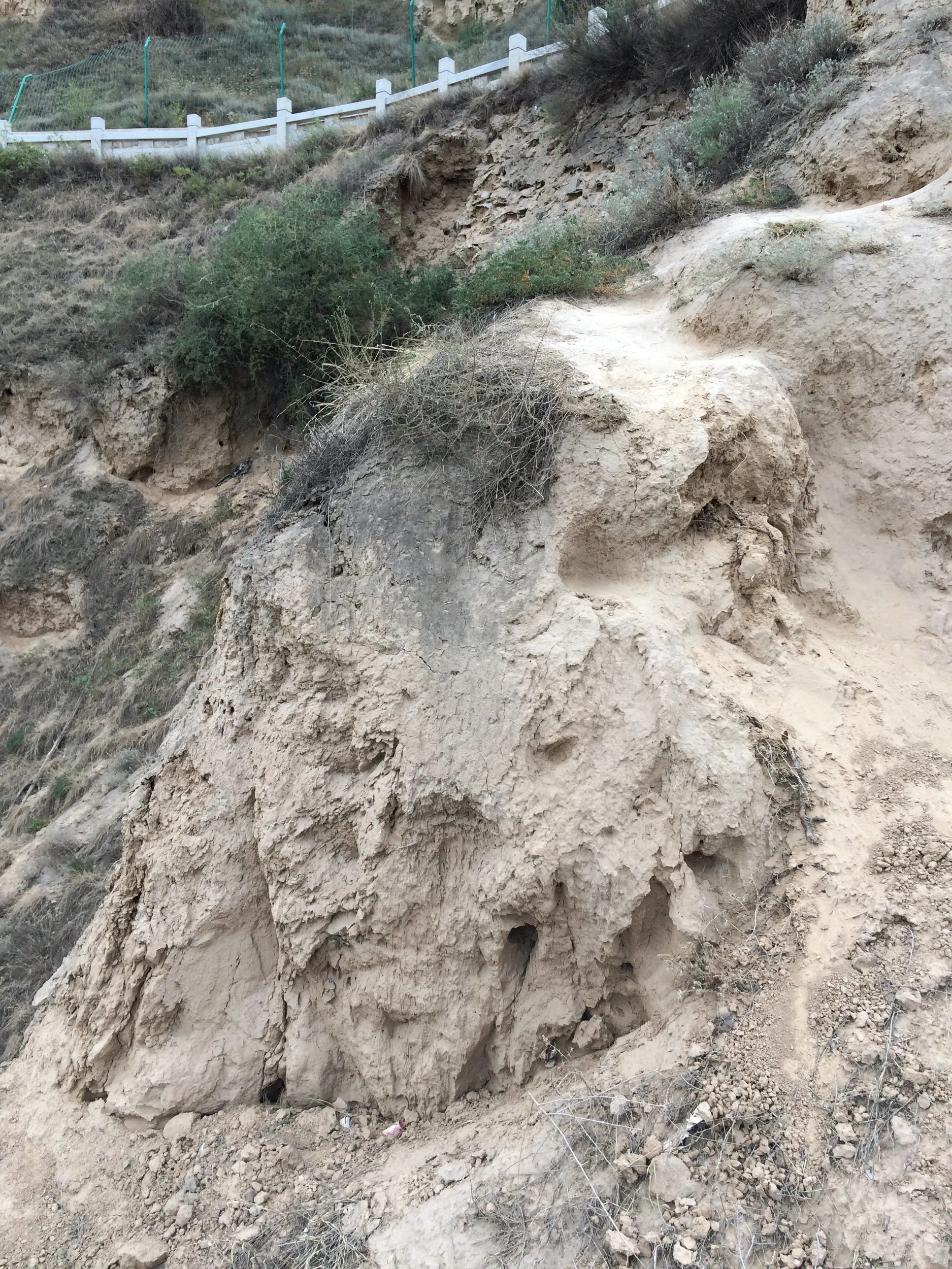 整備された道まであと少しだ