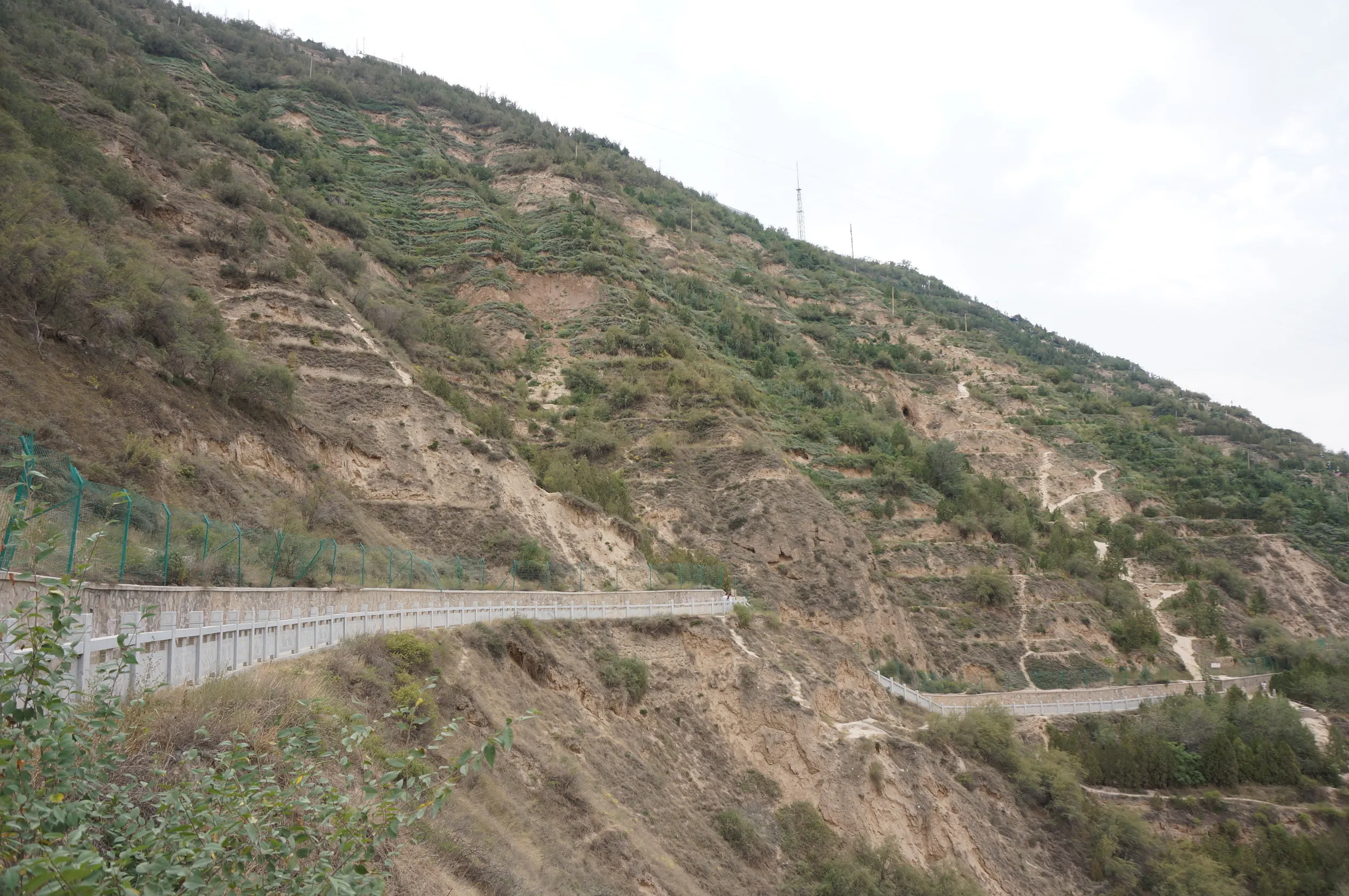 五泉山公園の山道