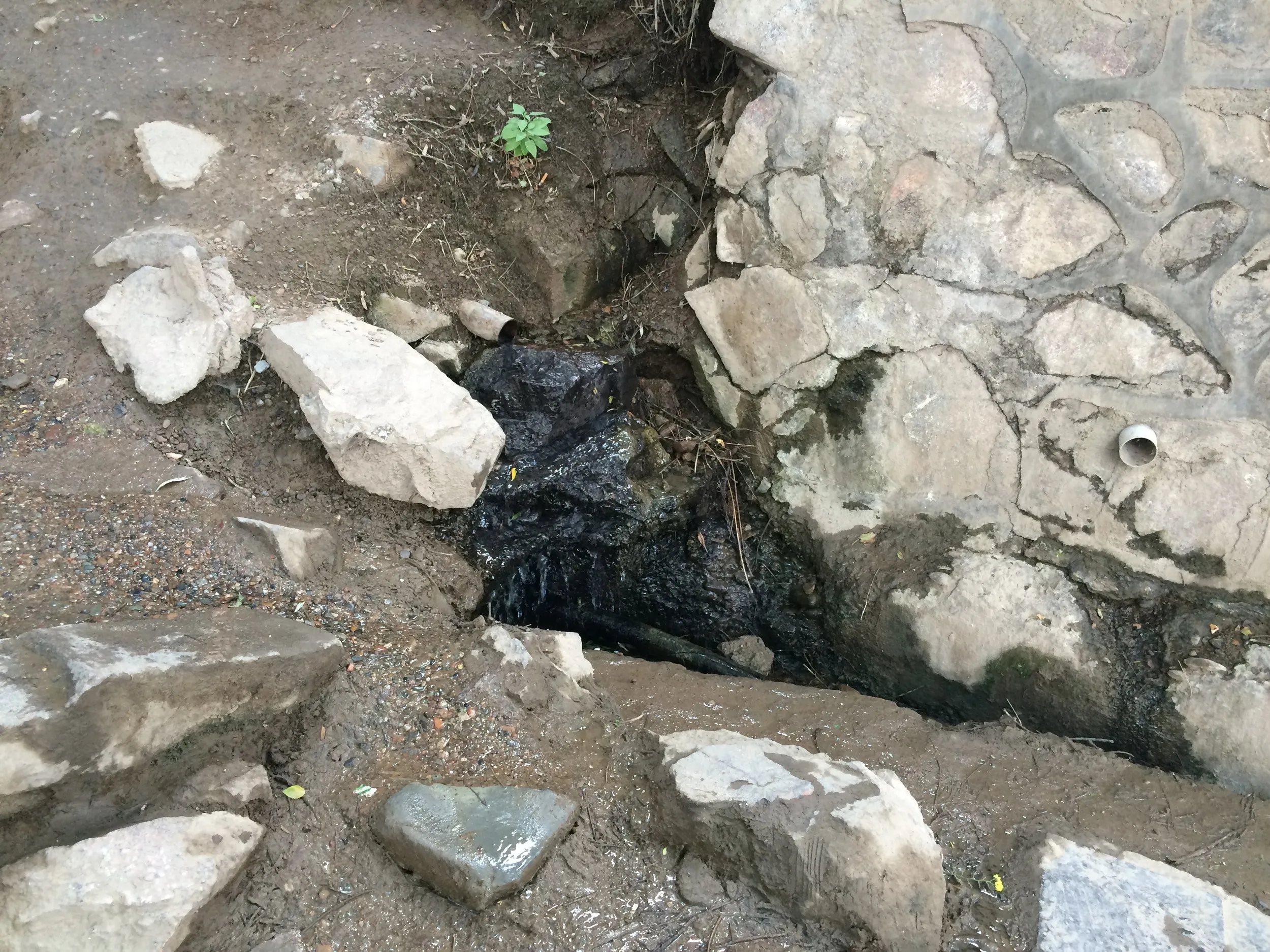 五泉山公園の様子