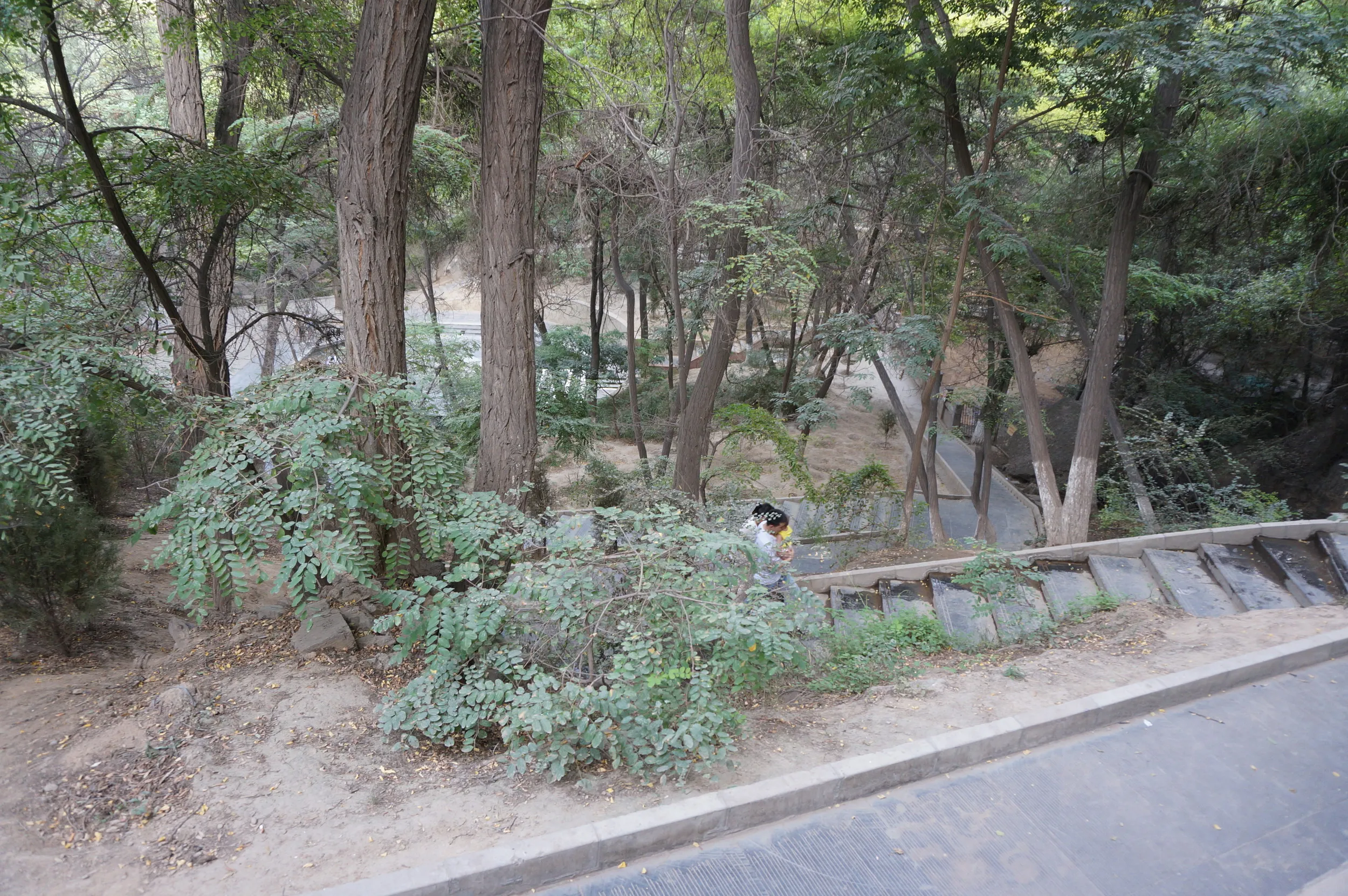 五泉山公園の風景