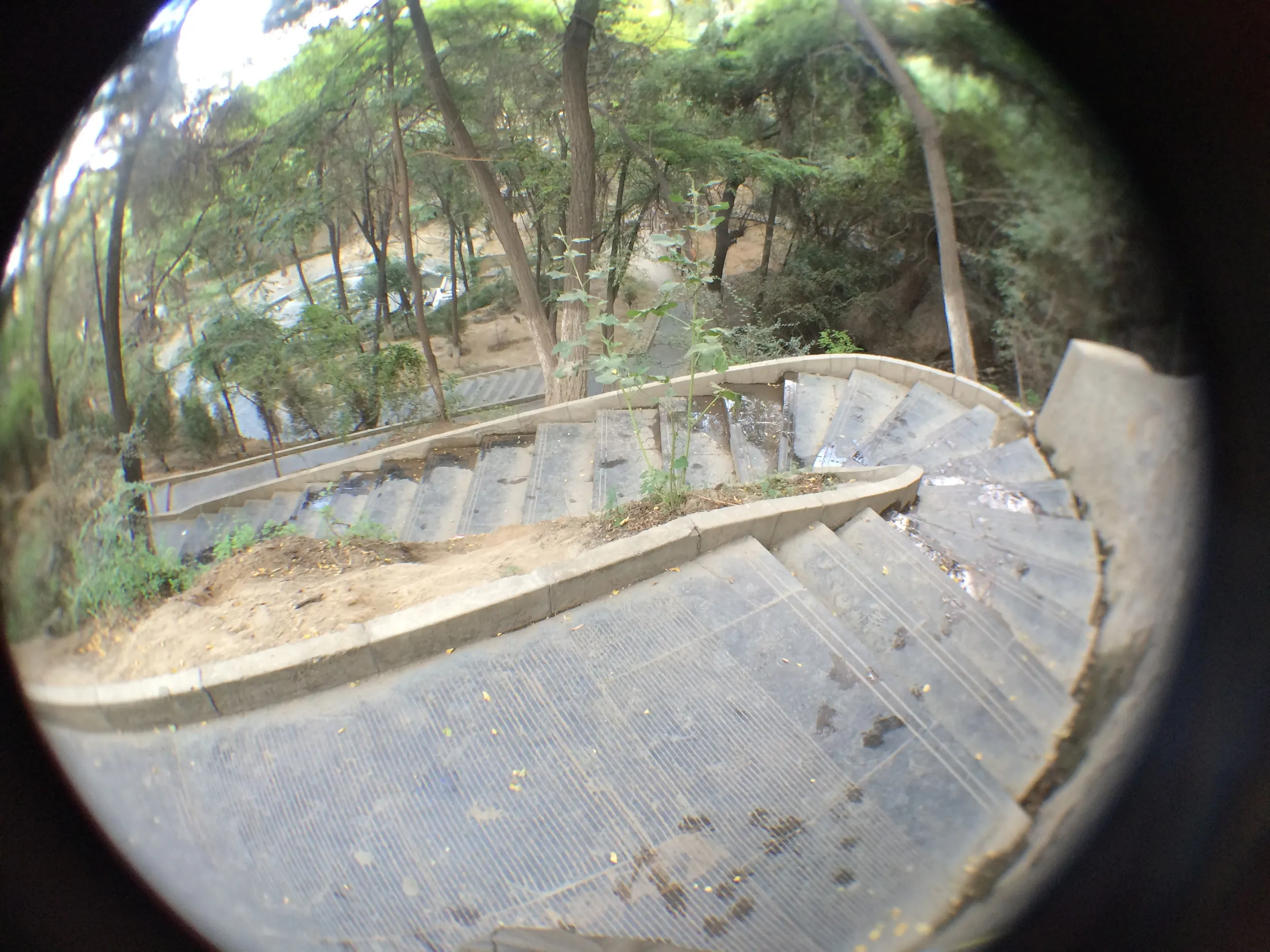 五泉山公園の風景