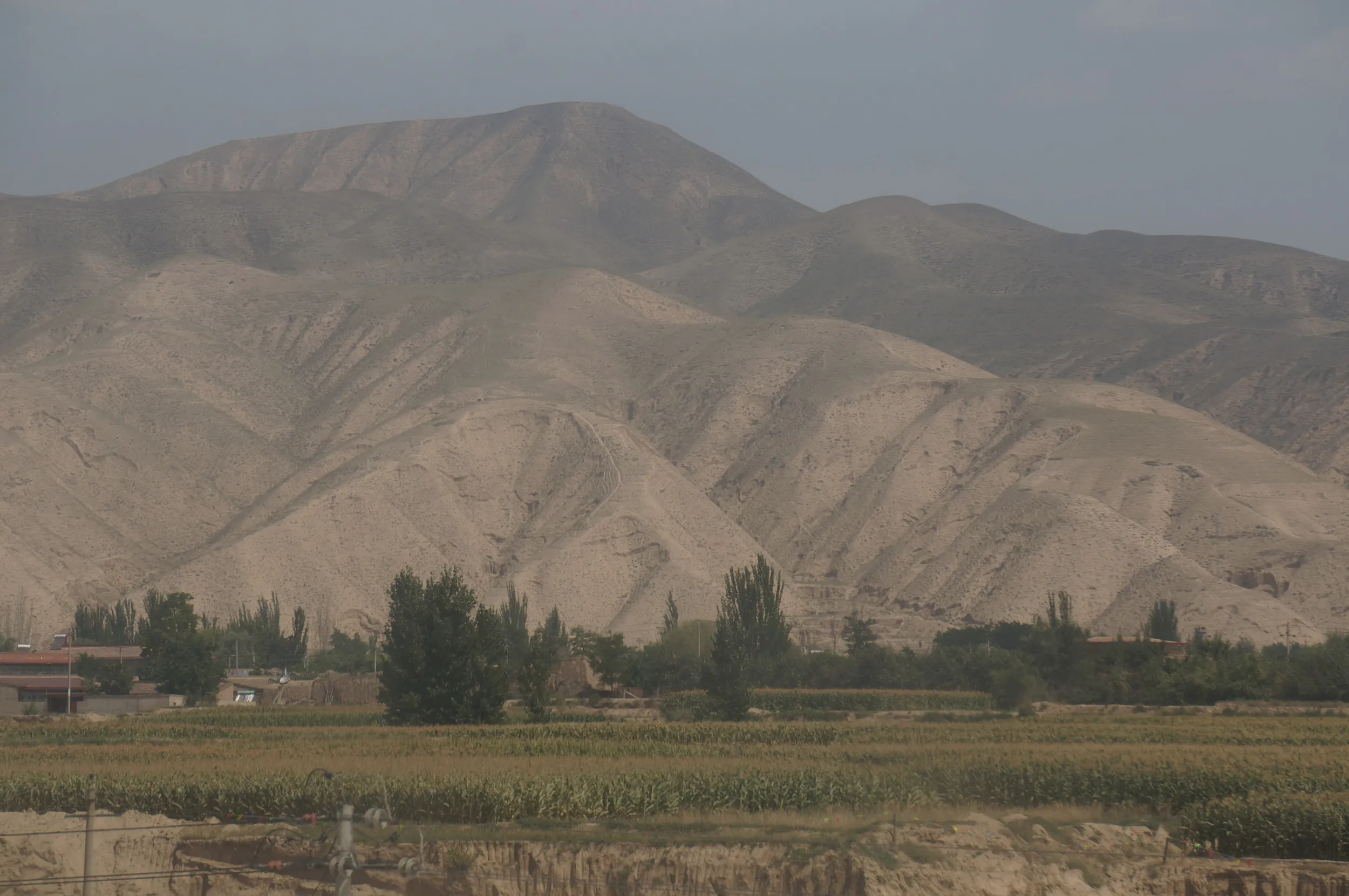 荒涼とした禿山