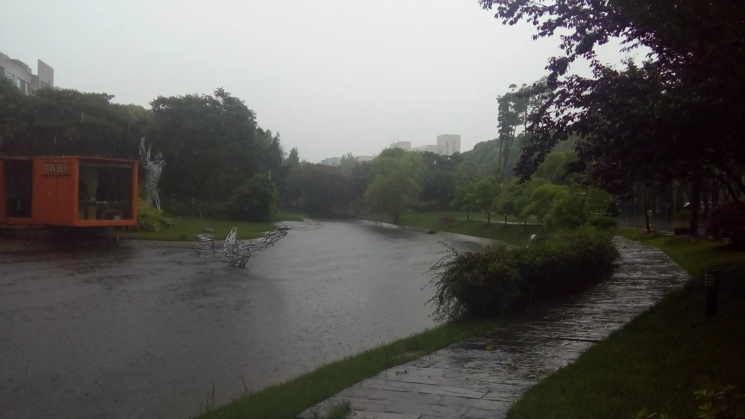 雨の日の会社付近