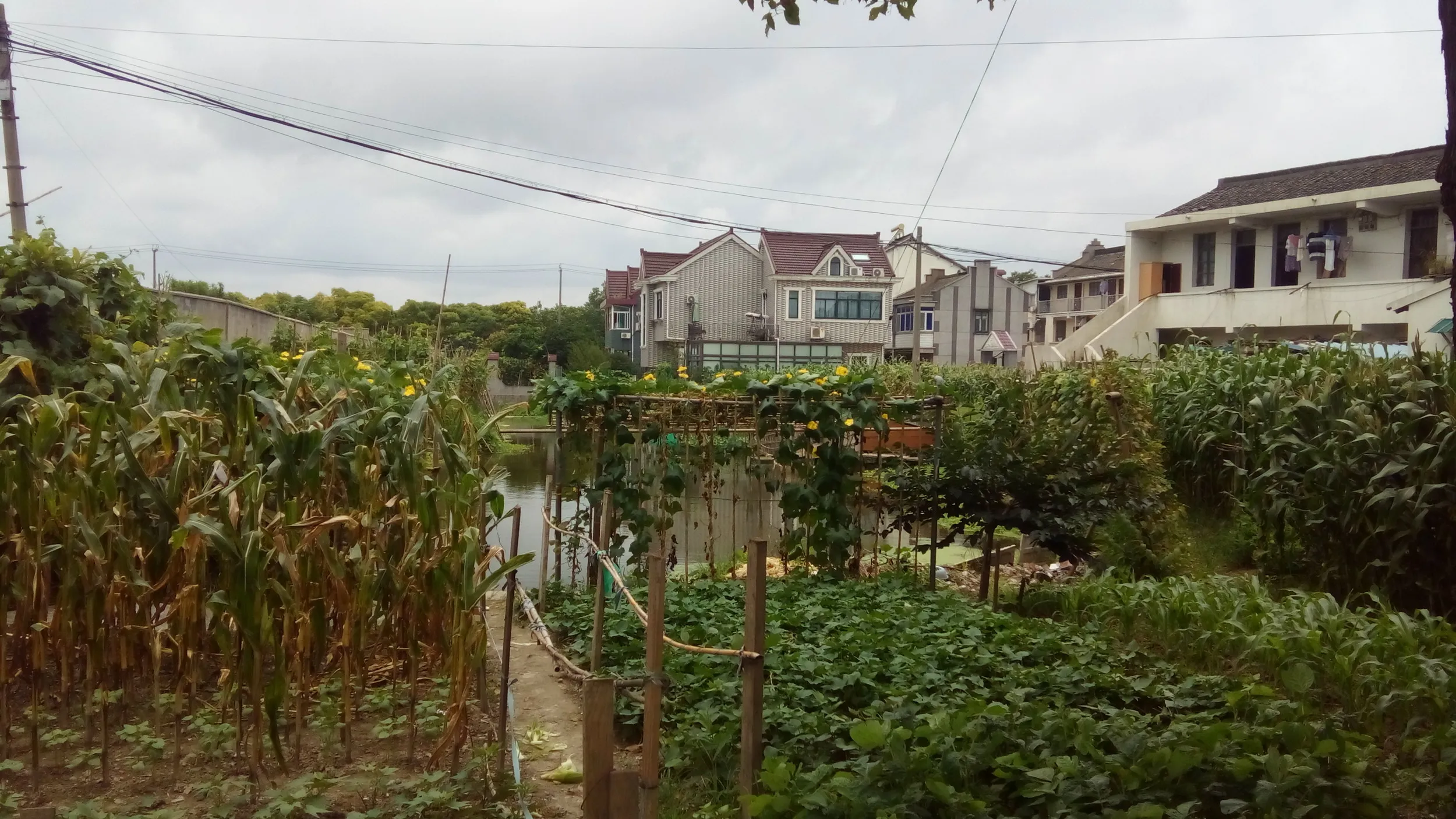 上海郊外の田舎街