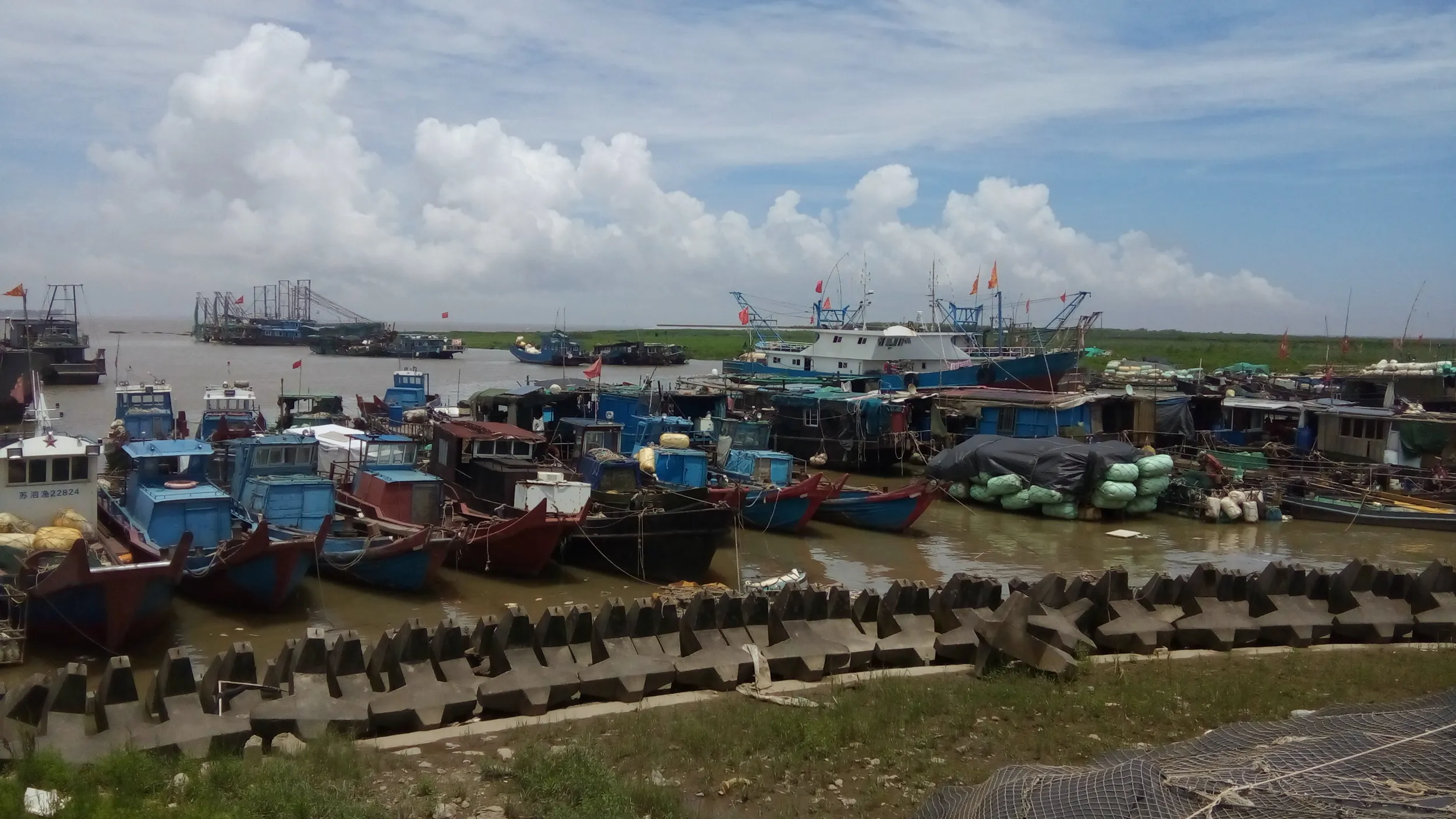 長江を遠方に望む