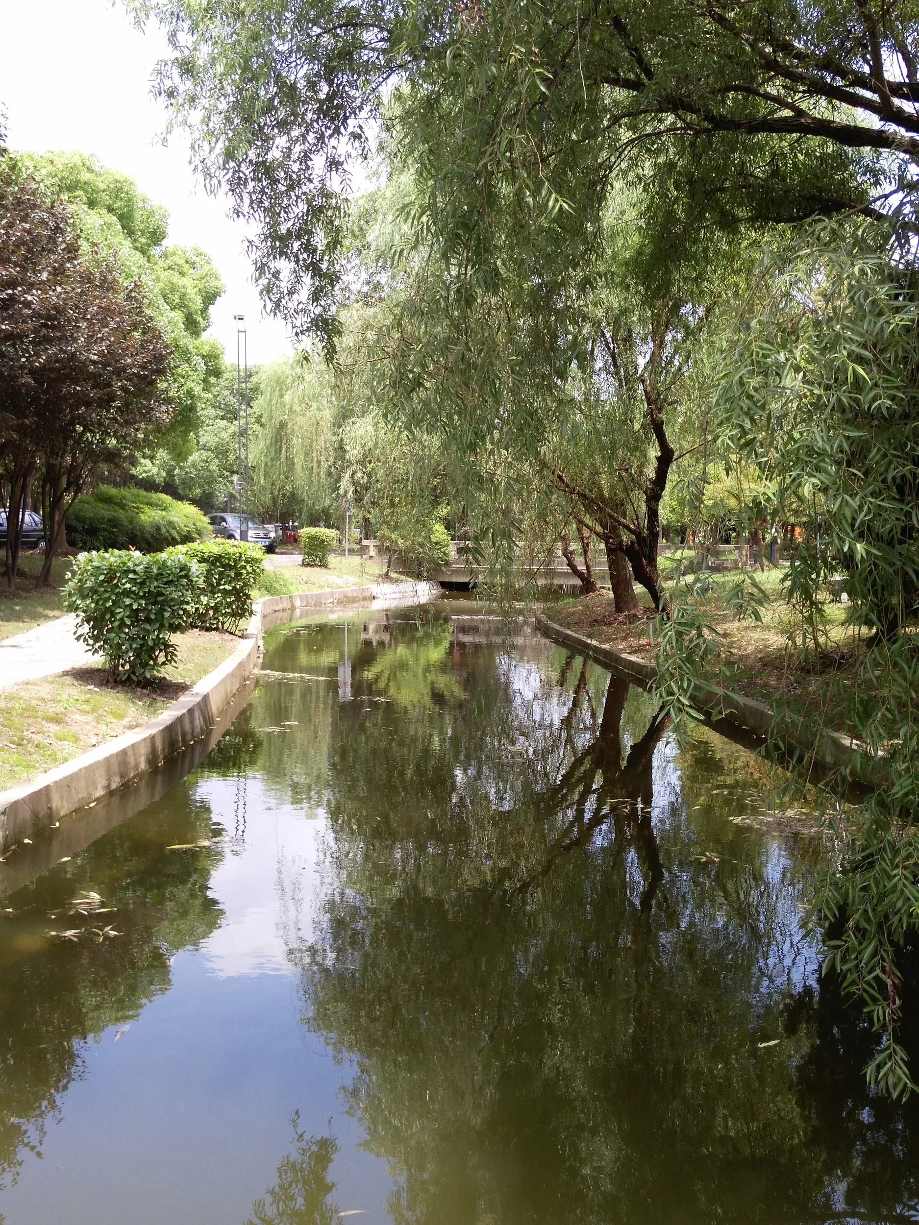 職場付近の様子