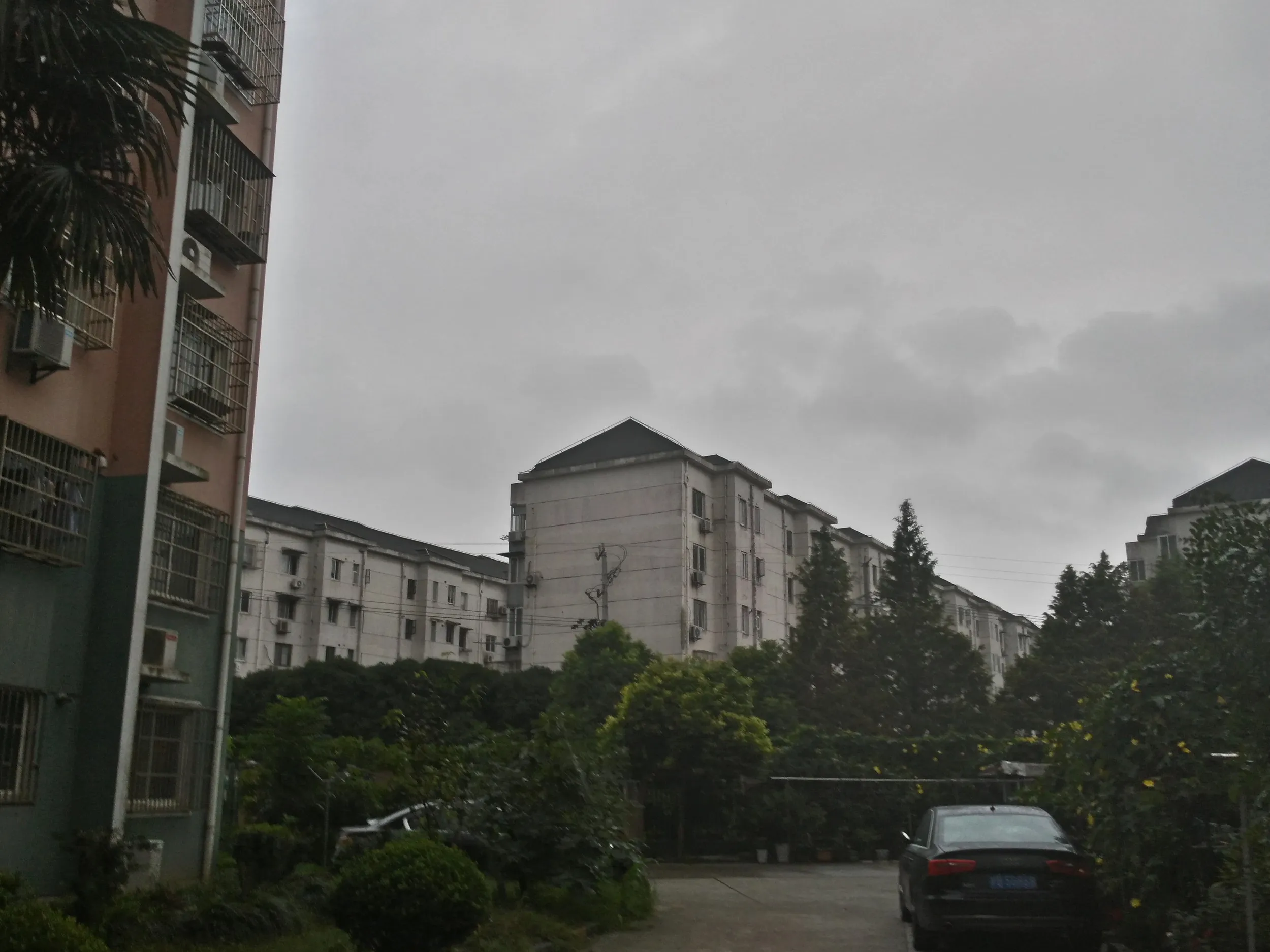 朝食の黒胡麻豆乳と中華まん