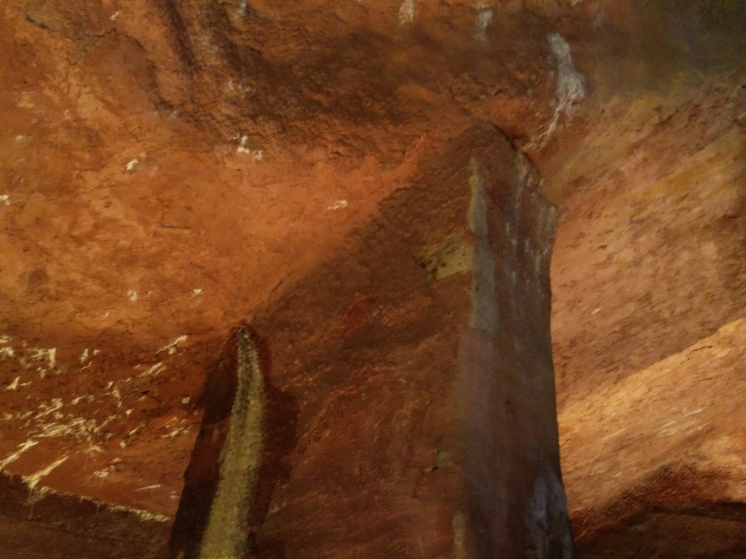 規則的な掘り跡