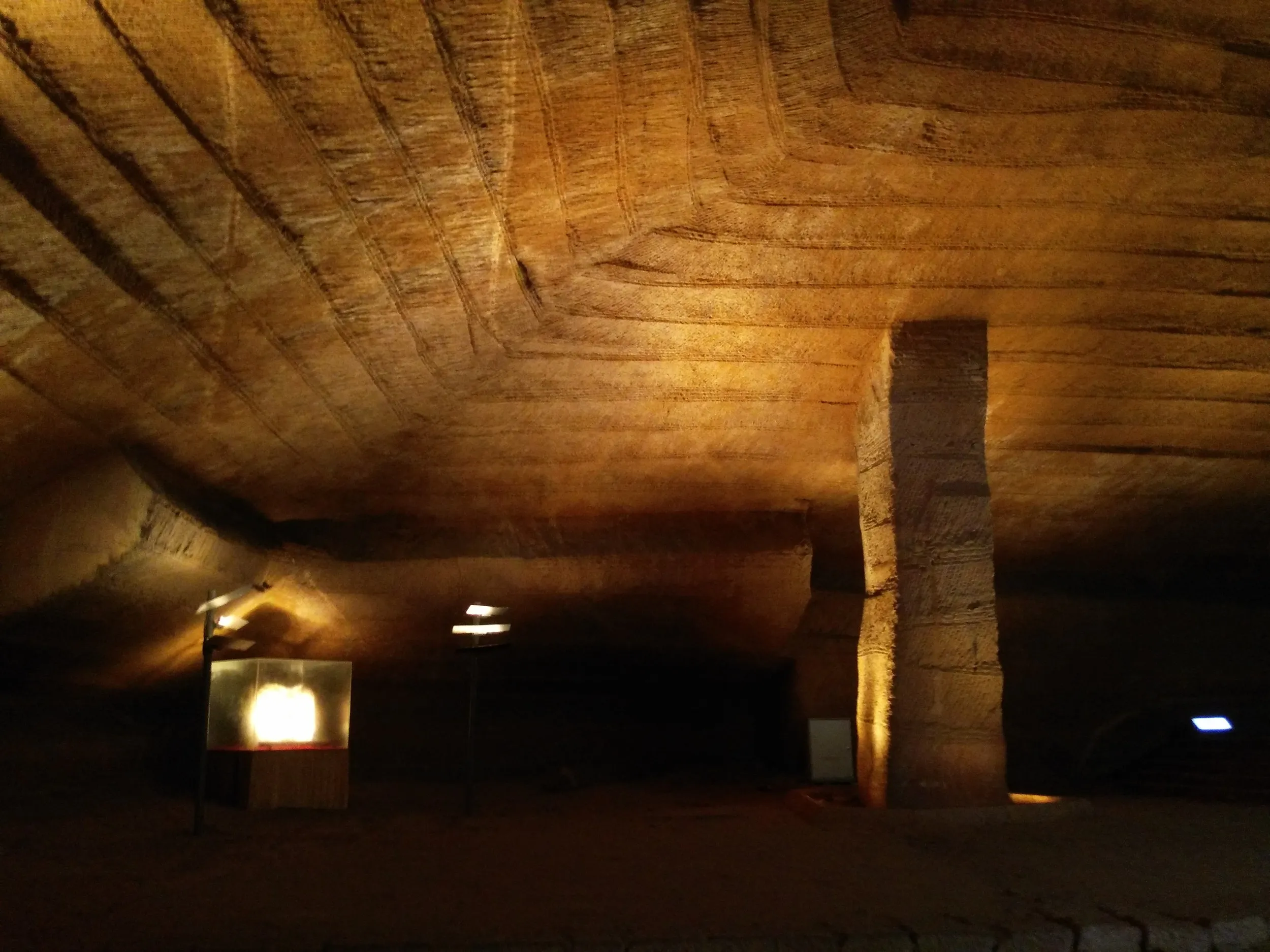 くっきり見える掘り跡