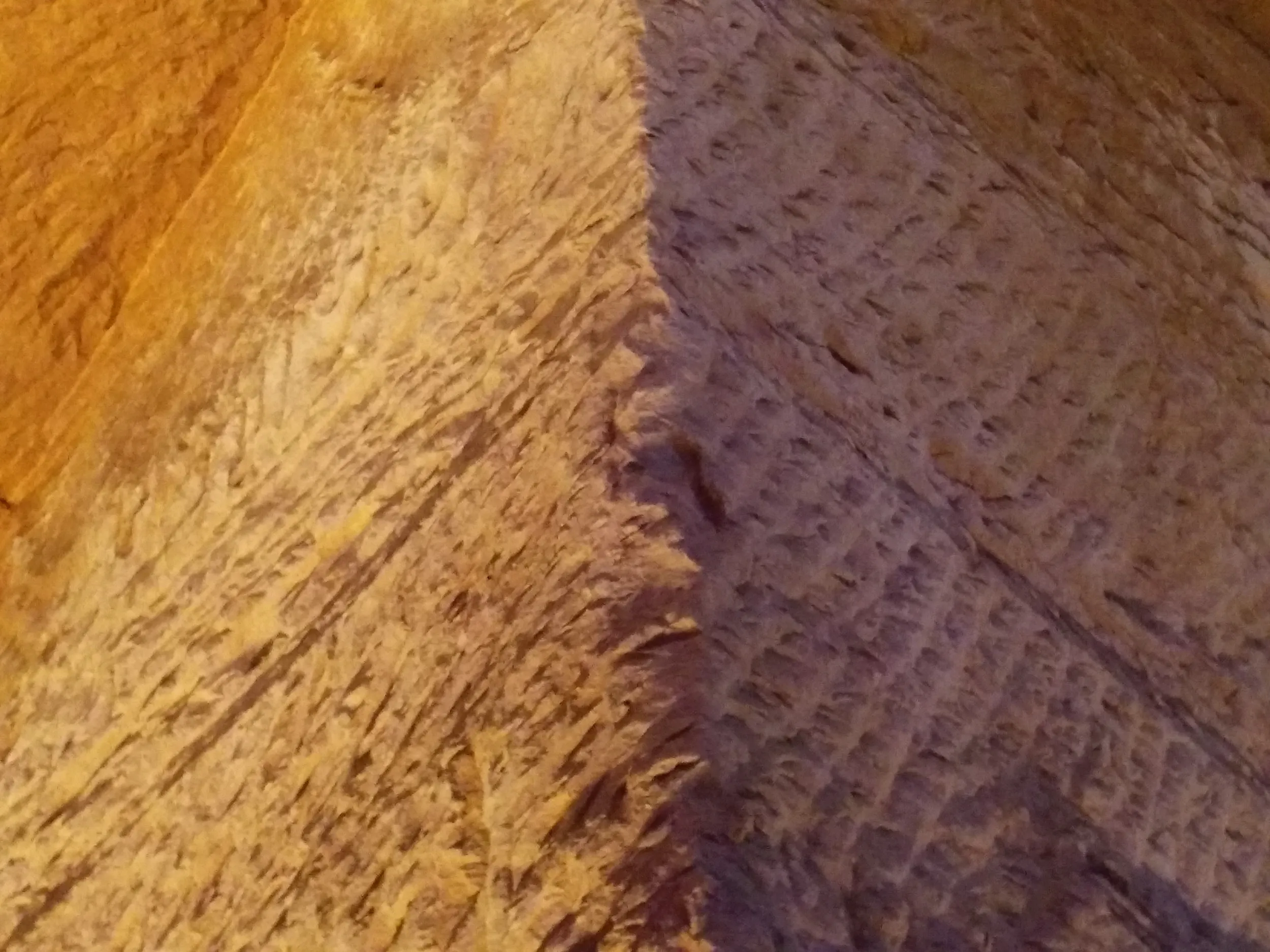 くっきり見える掘り跡