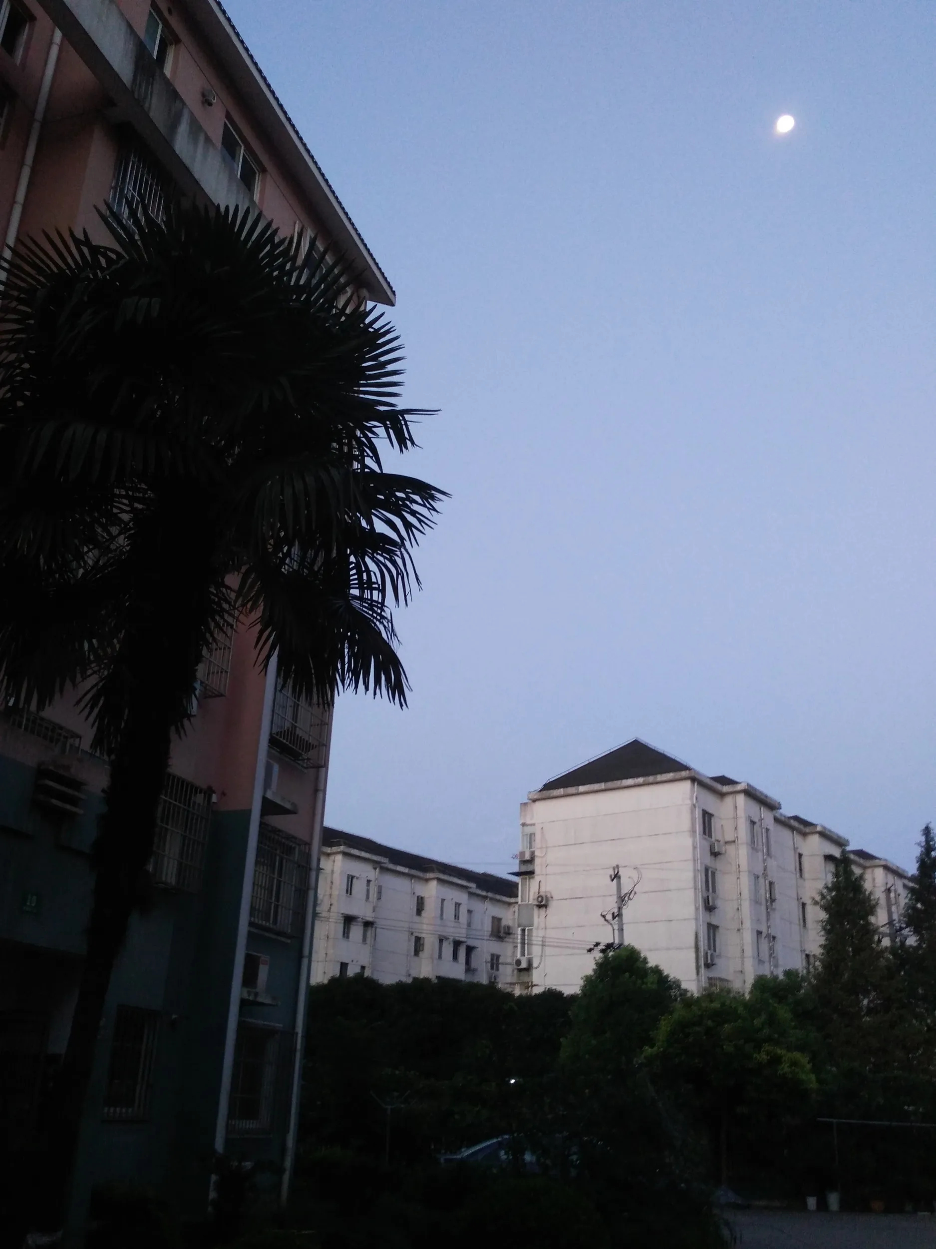 帰国前の荷物整理