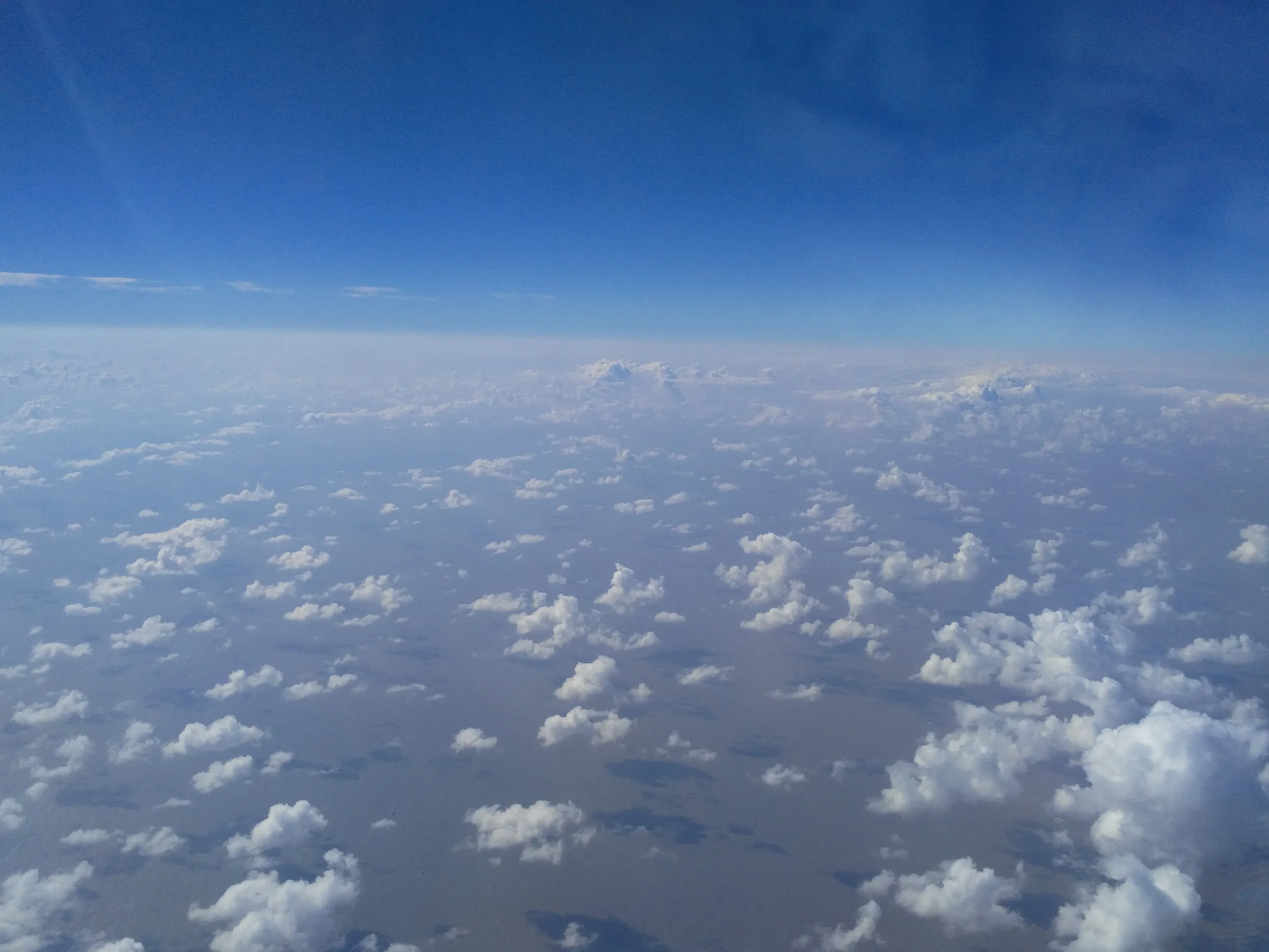 機内食のパッケージ