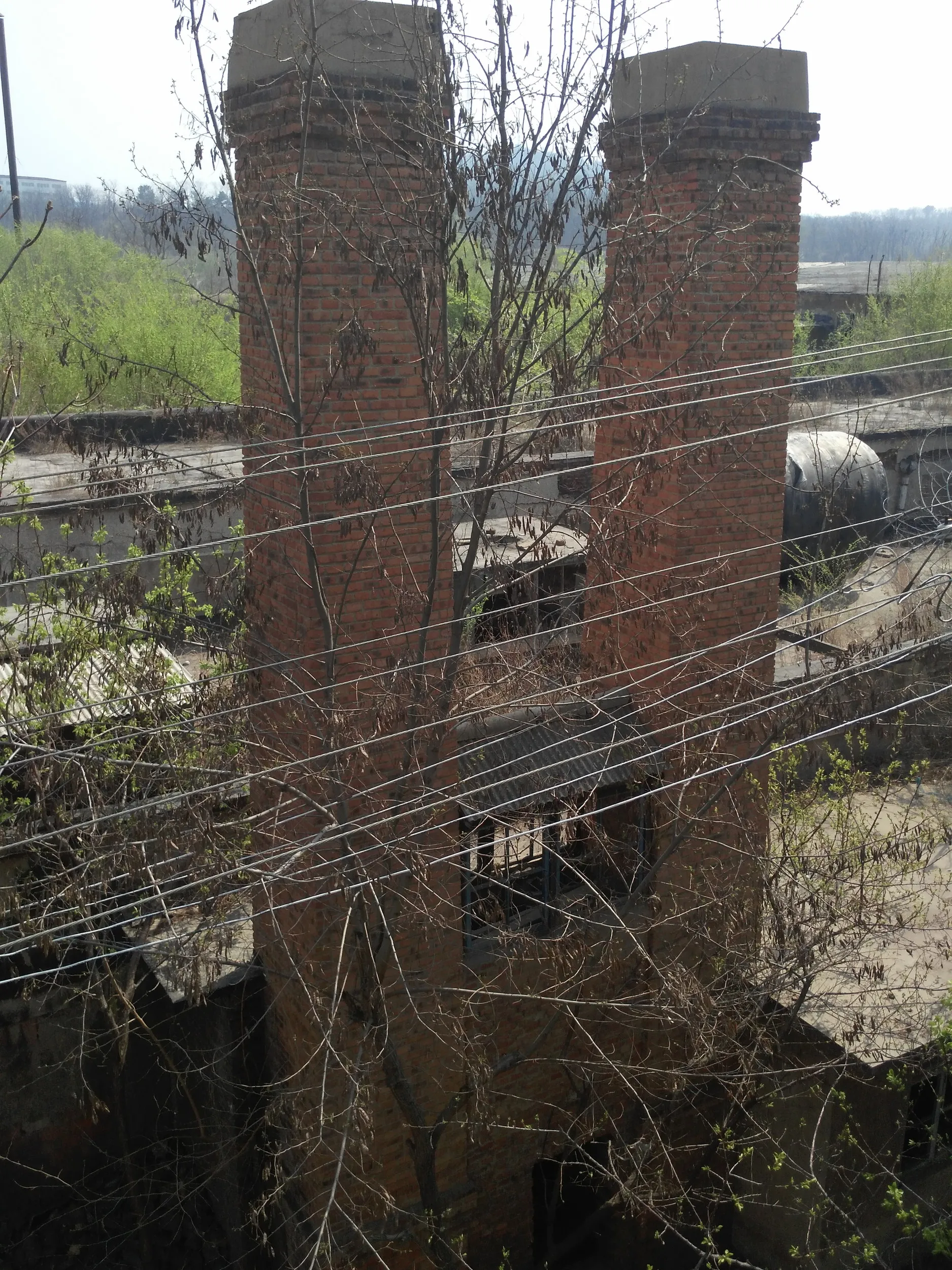 古いレンガ造りの建物