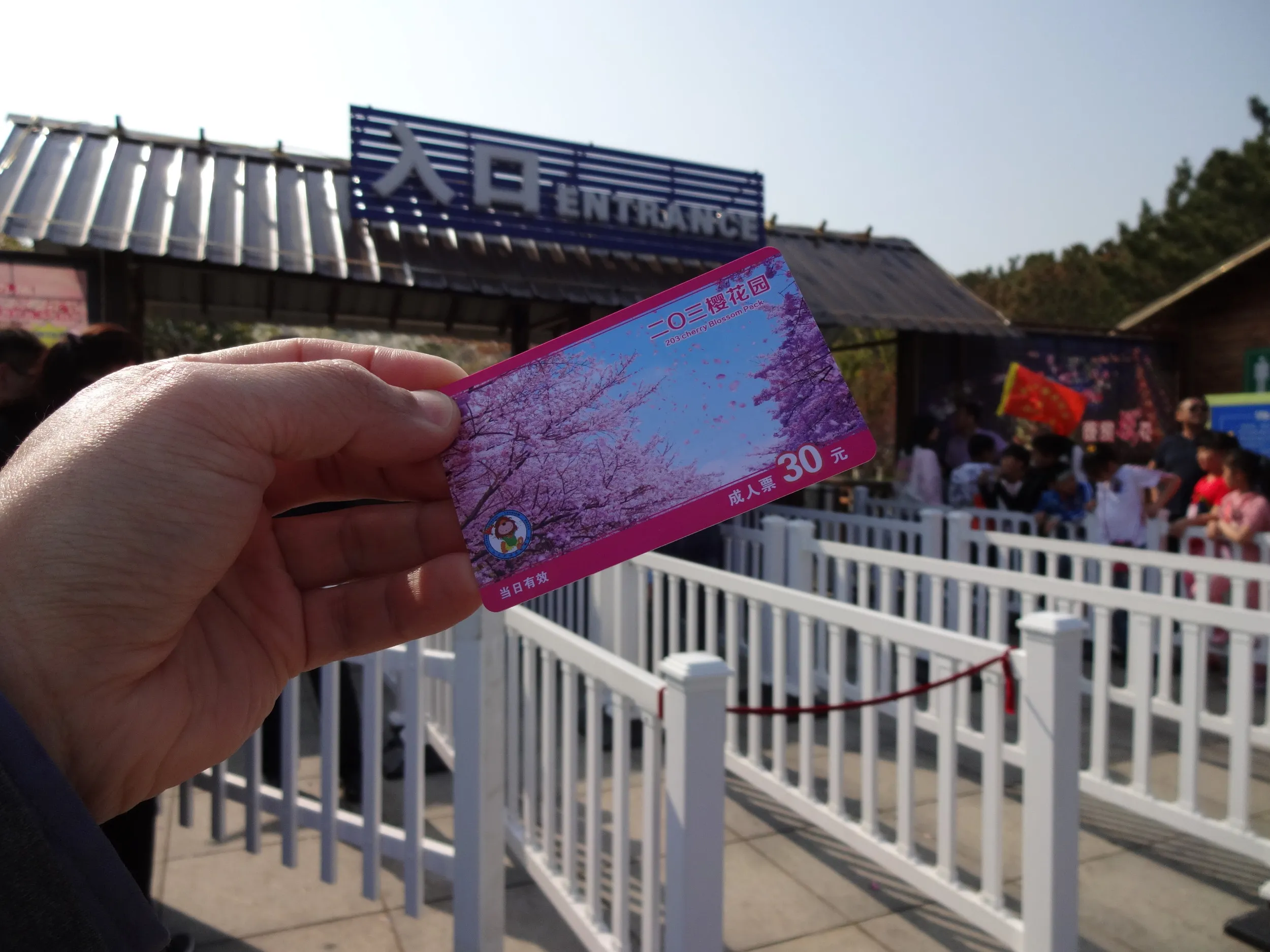 桜園のチケット