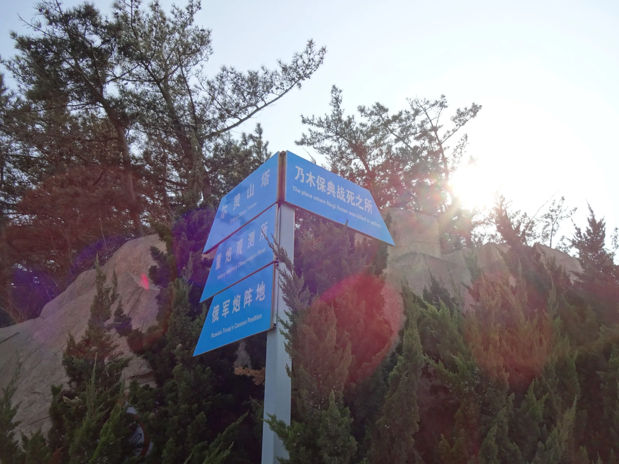 203高地の頂付近