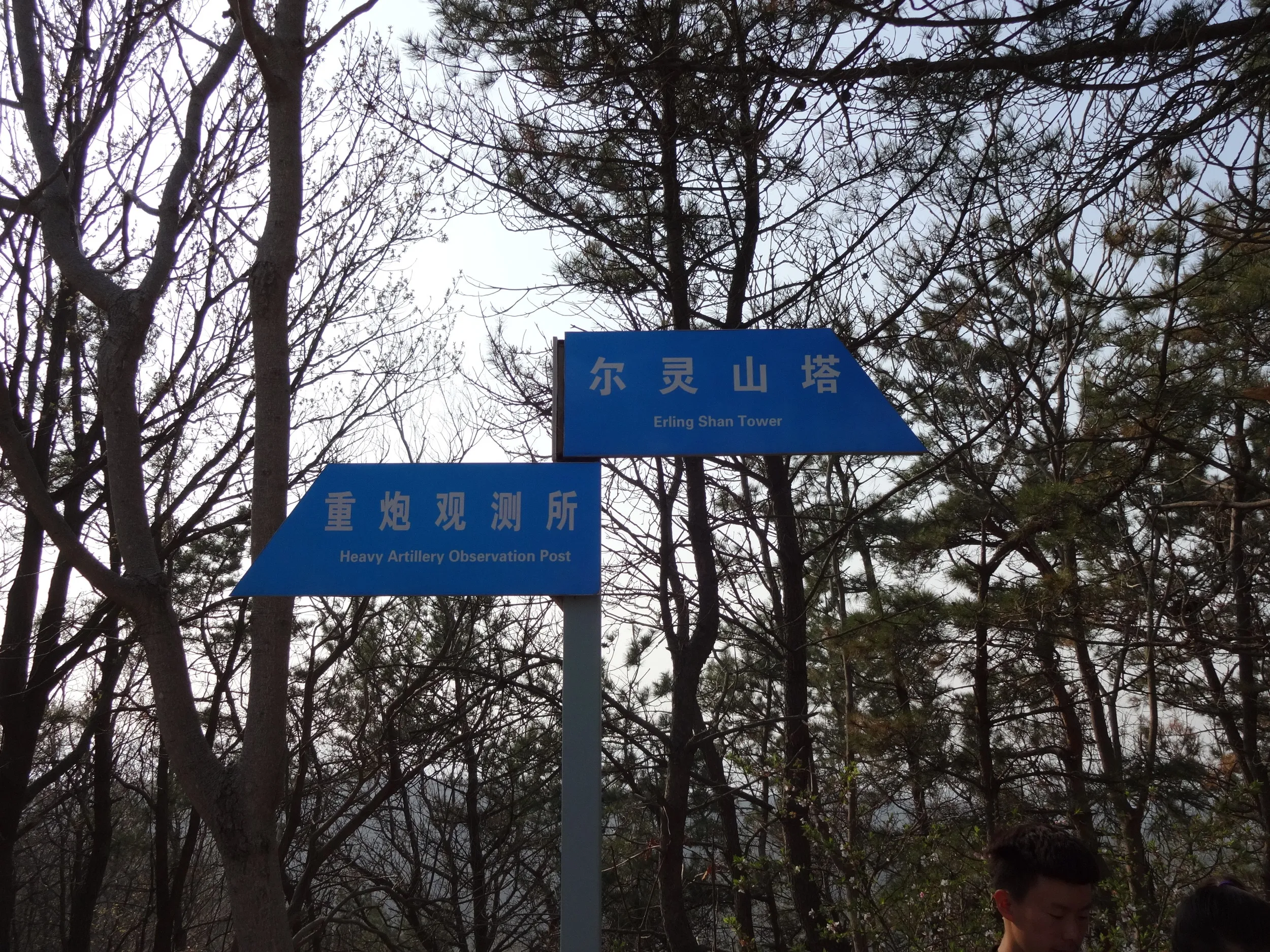 観測所への分かれ道