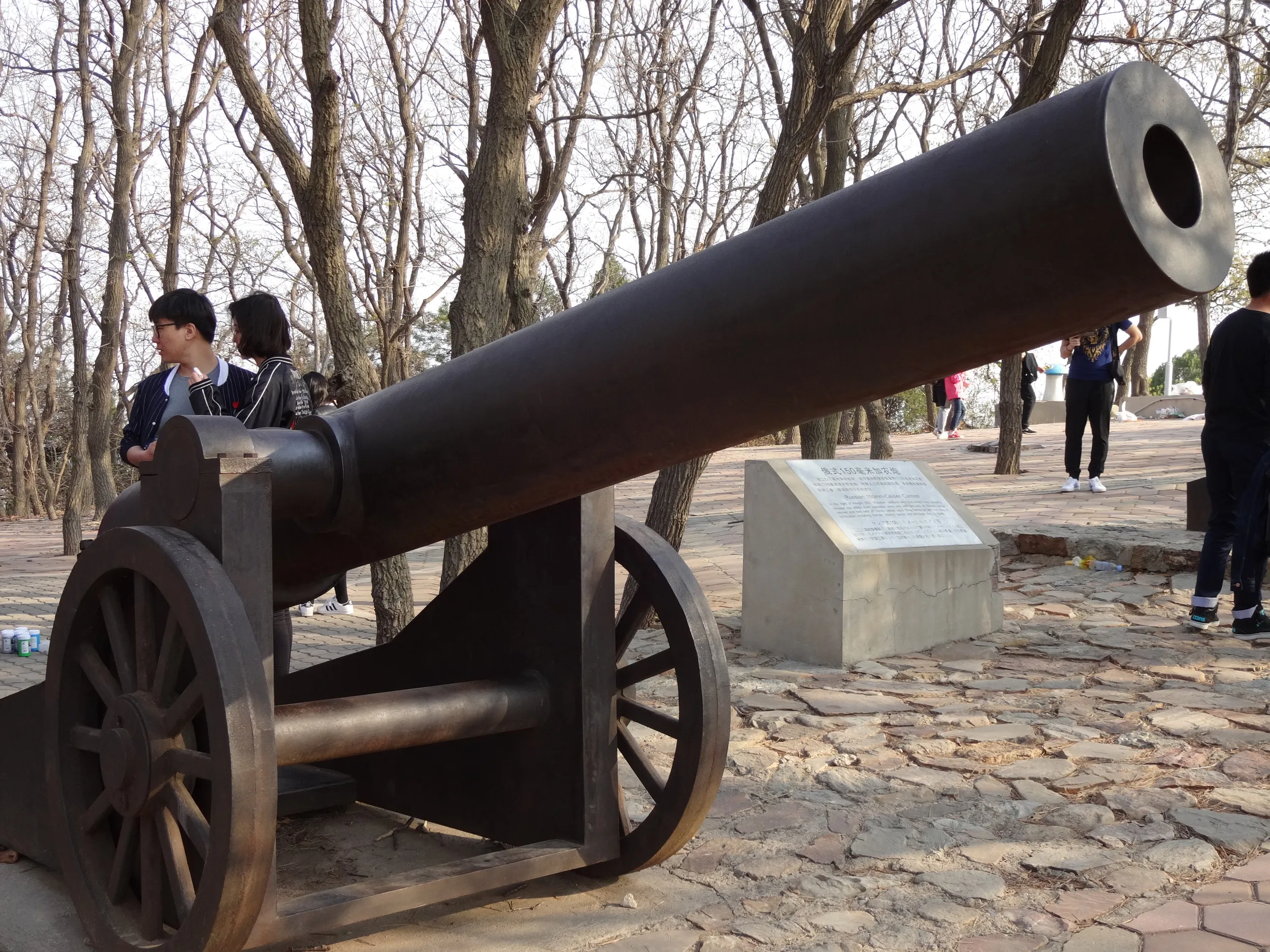 露西亜のカノン砲