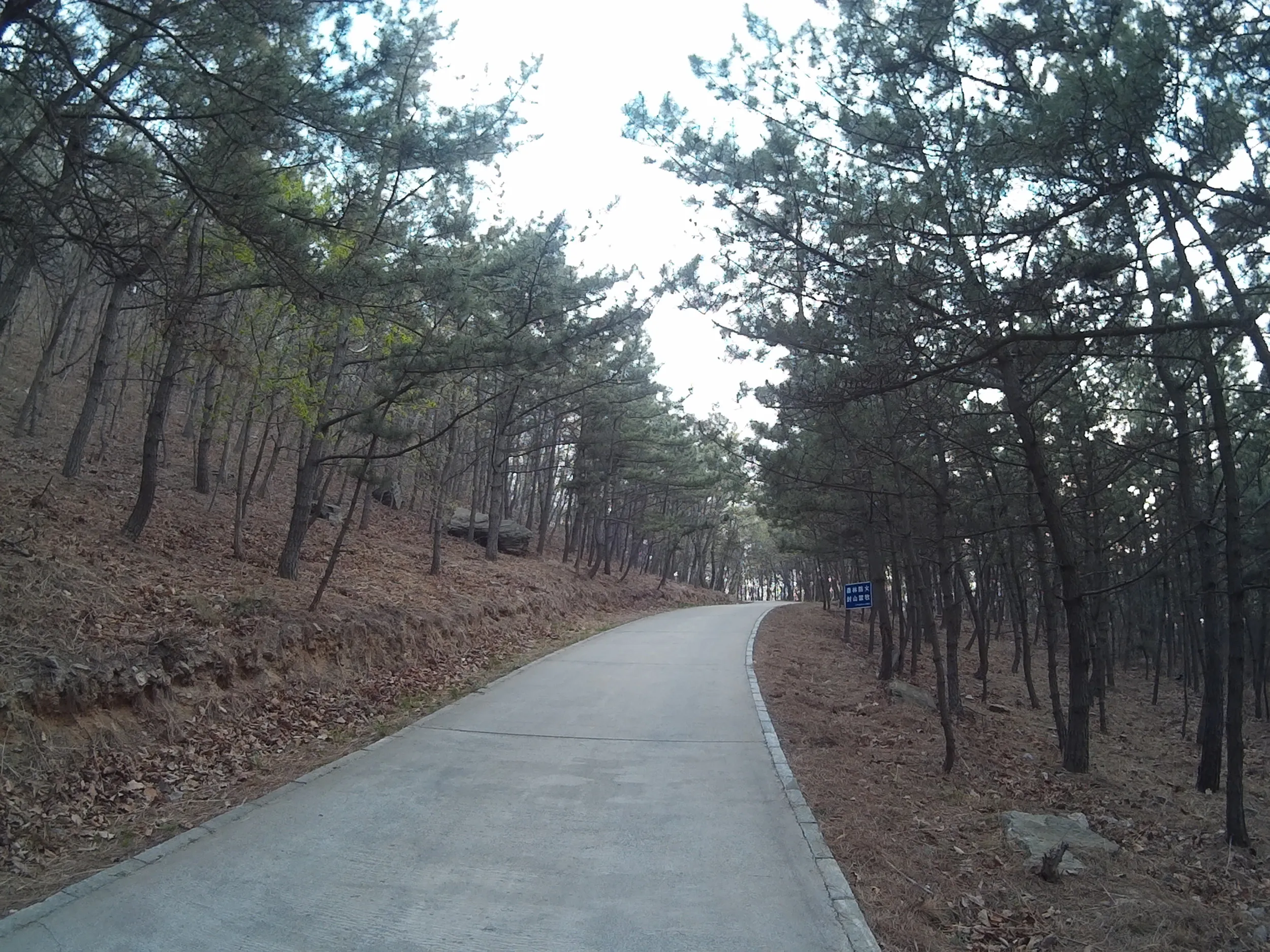 乃木保典が戦死した場所