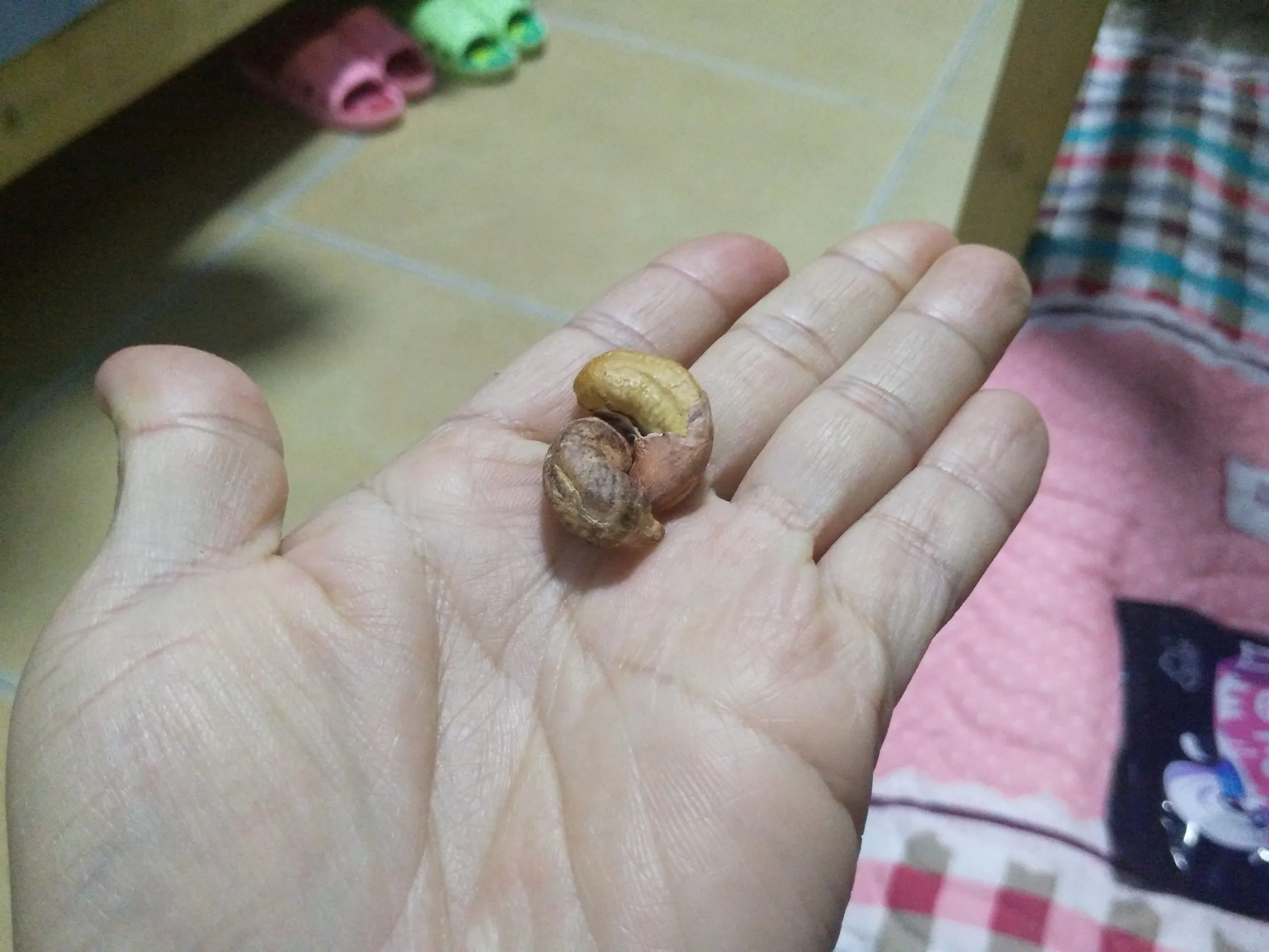 淘宝で買ったカシューナッツ