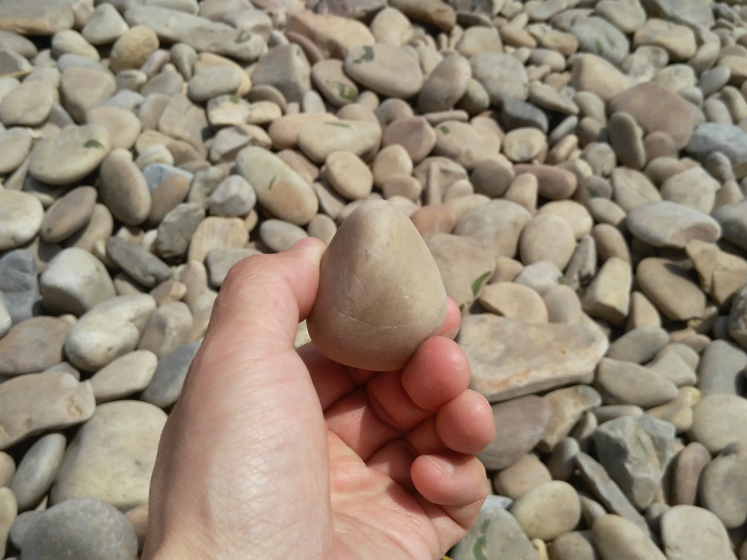 星海公園の海岸
