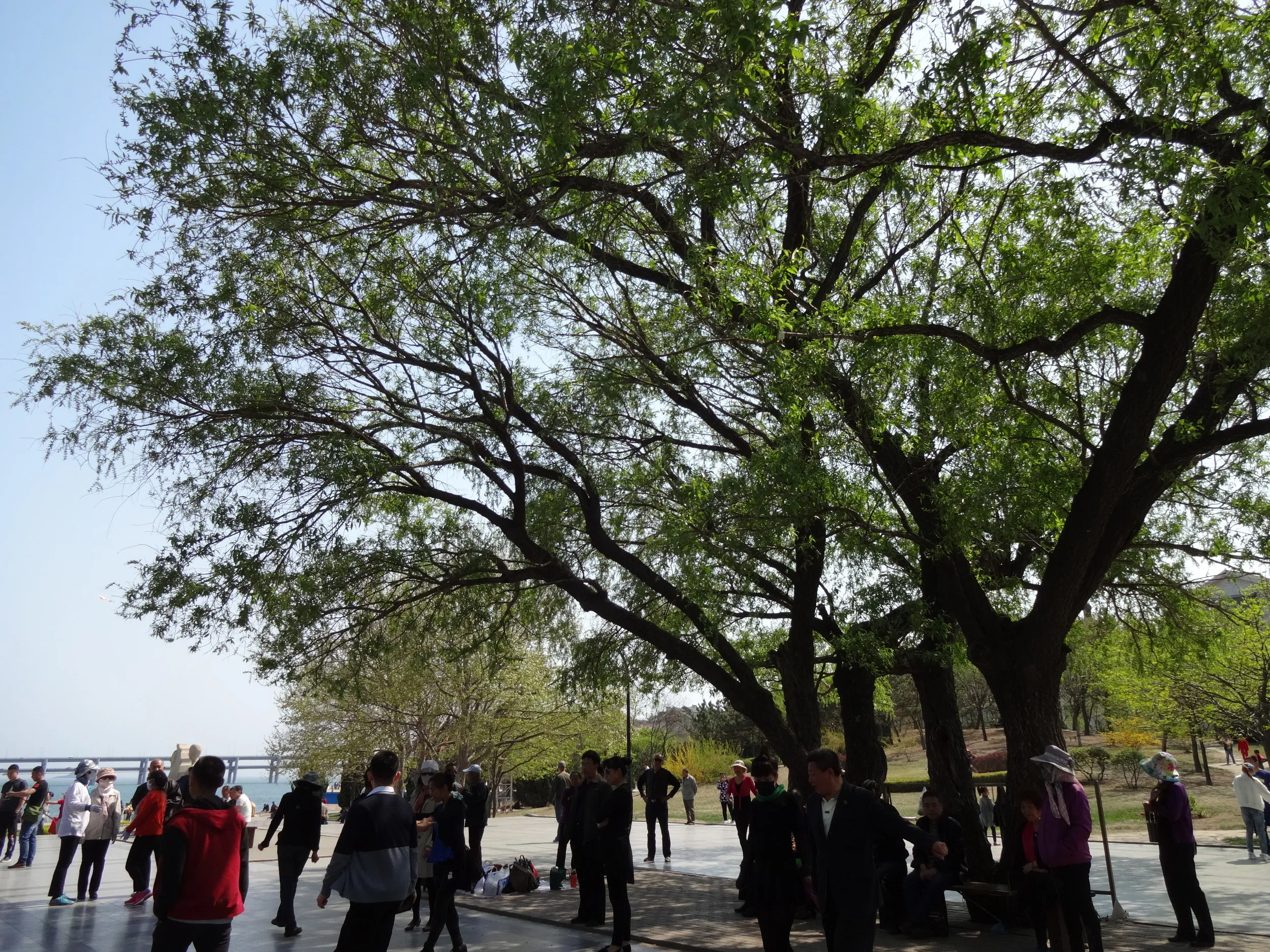 星海公園の風景