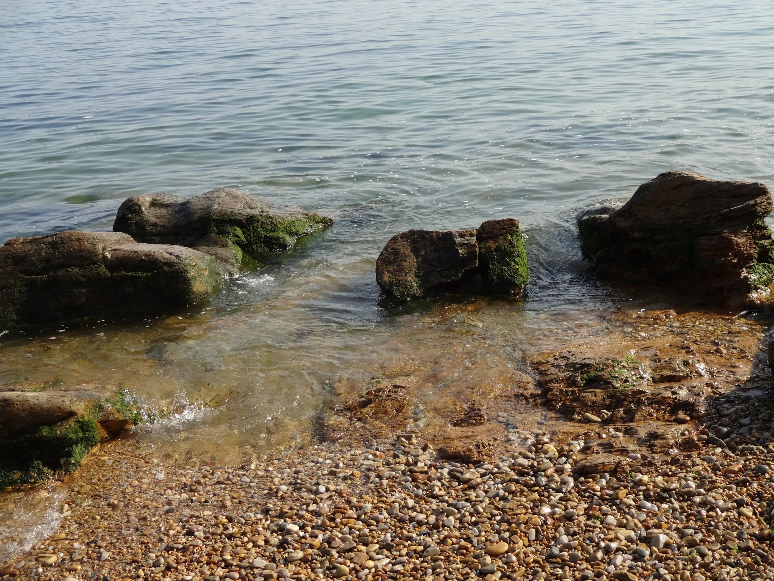 星海公園の海辺