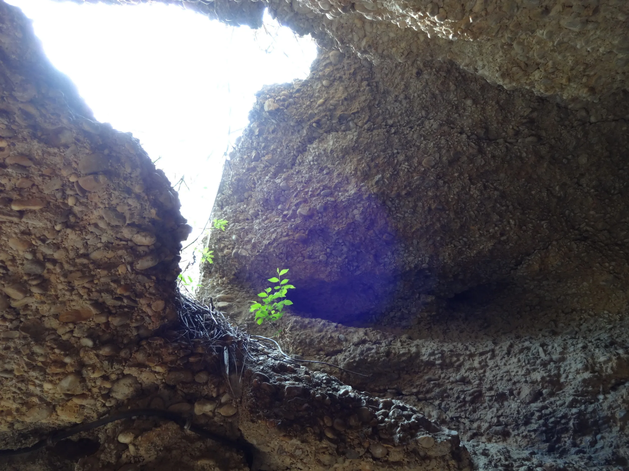 コンクリートの壁