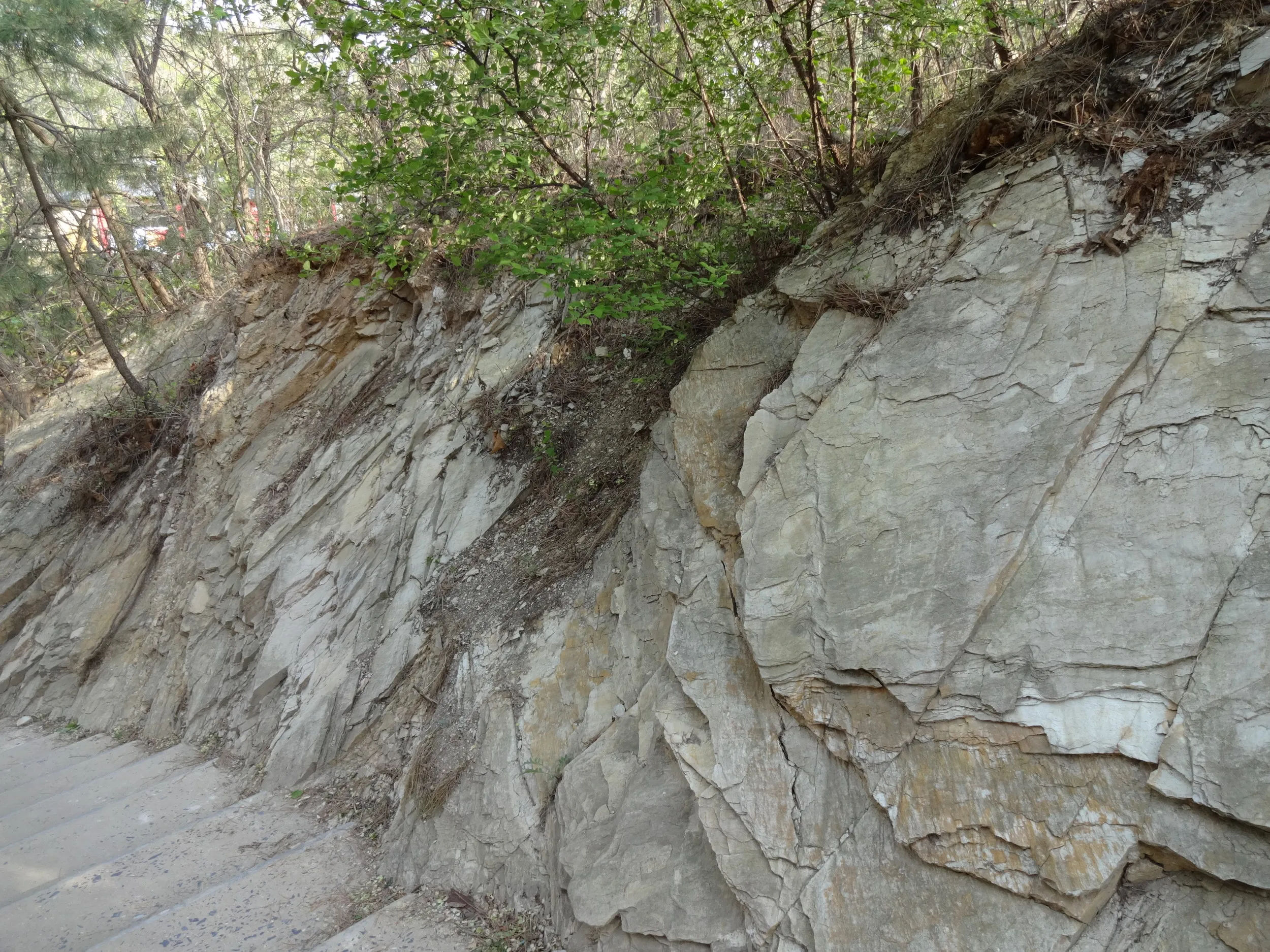 元の場所へ戻る