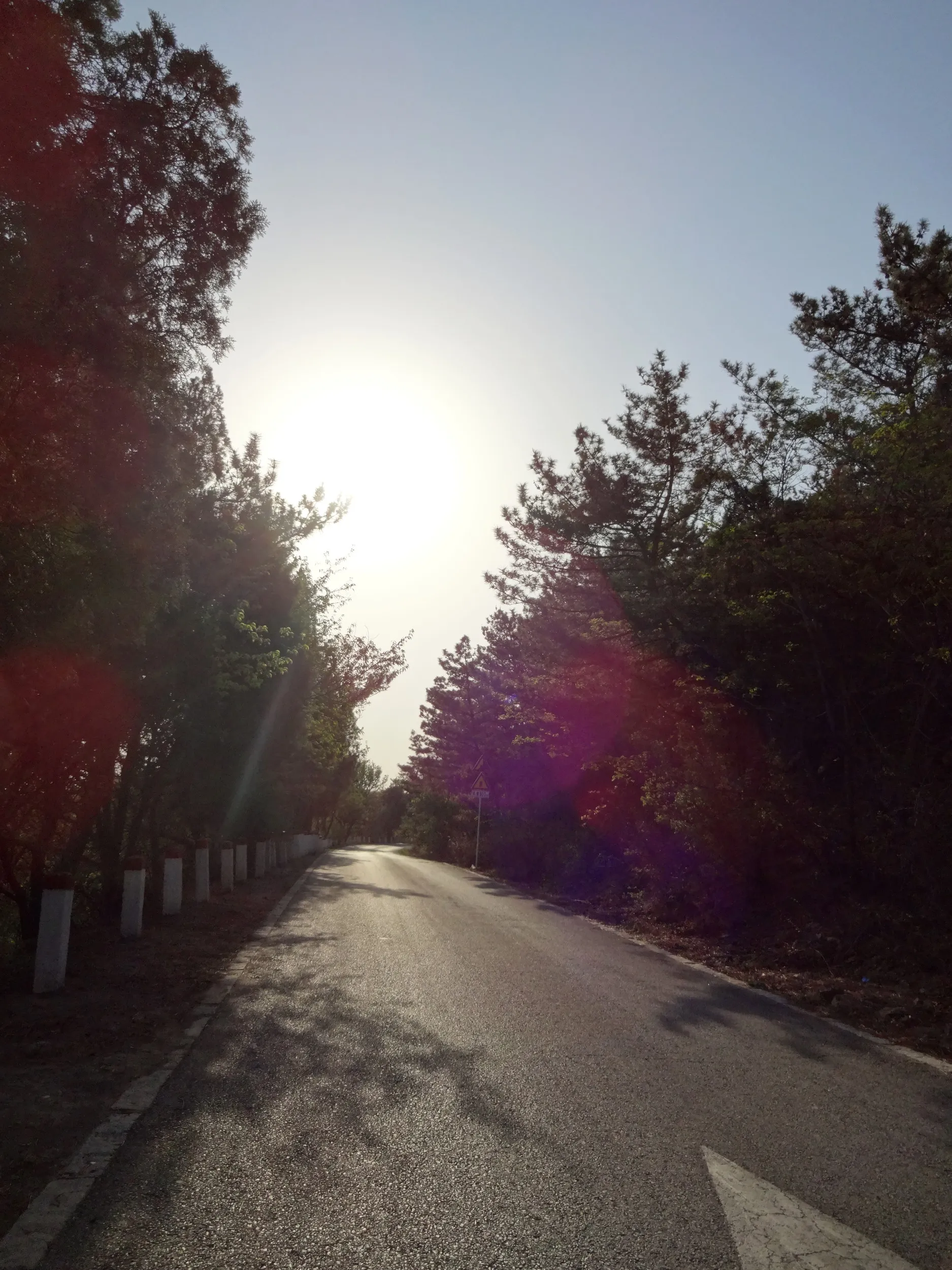 望台砲台へ向かう道