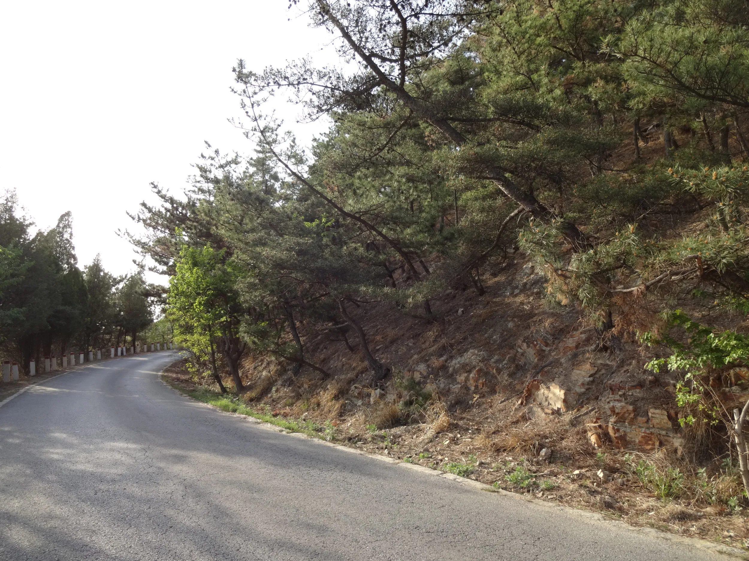 望台砲台へ向かう道