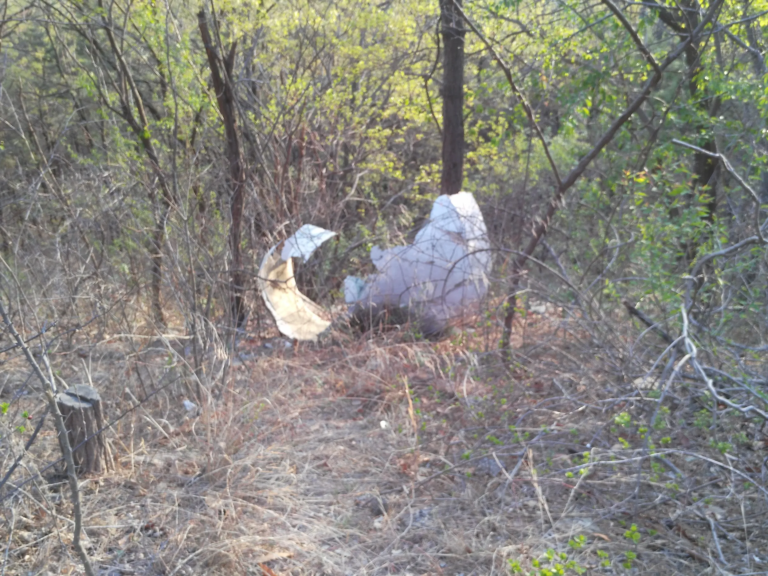 落ちているゴミ