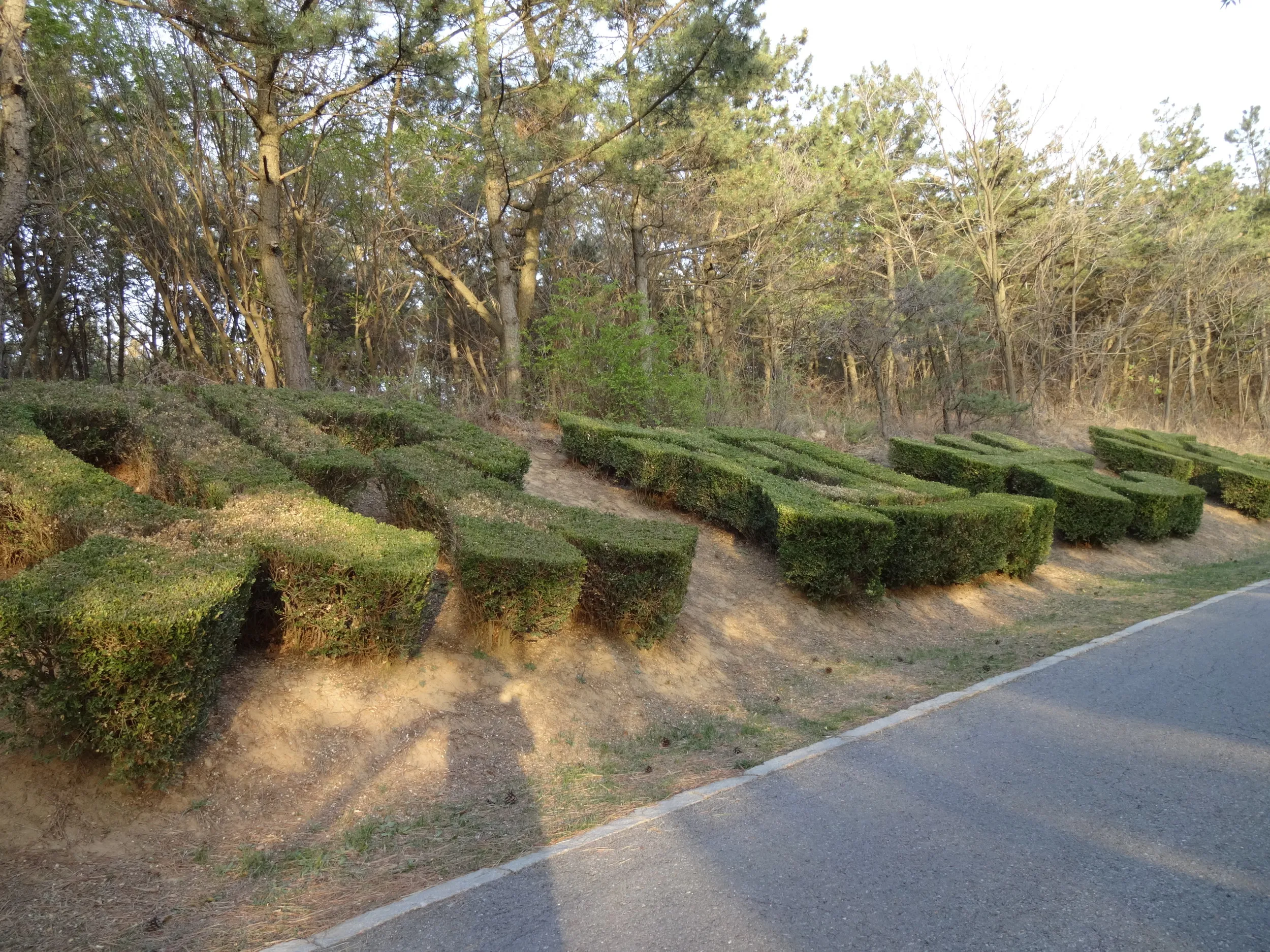 景観区の入口へ戻る