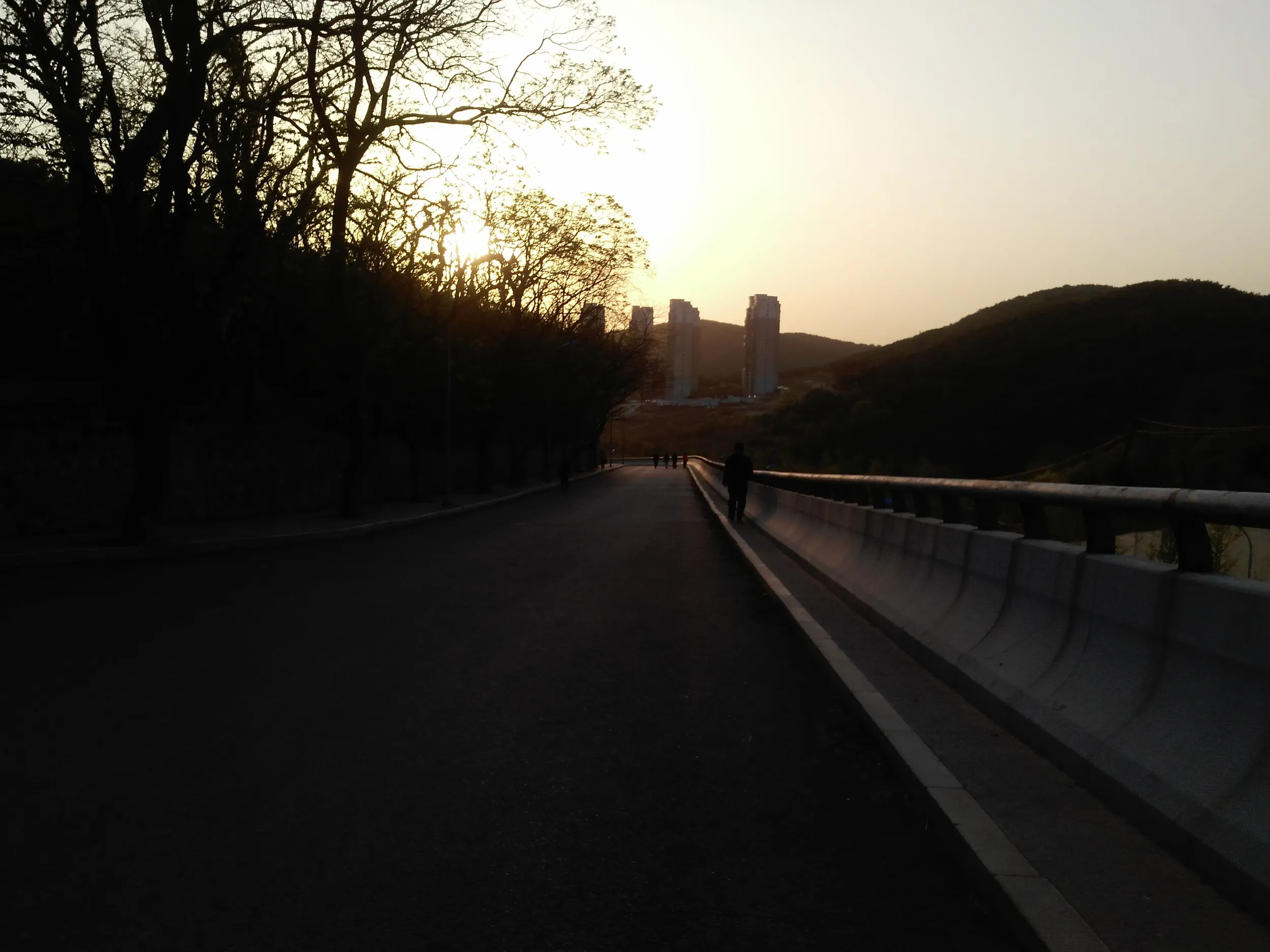 浄水場付近の道