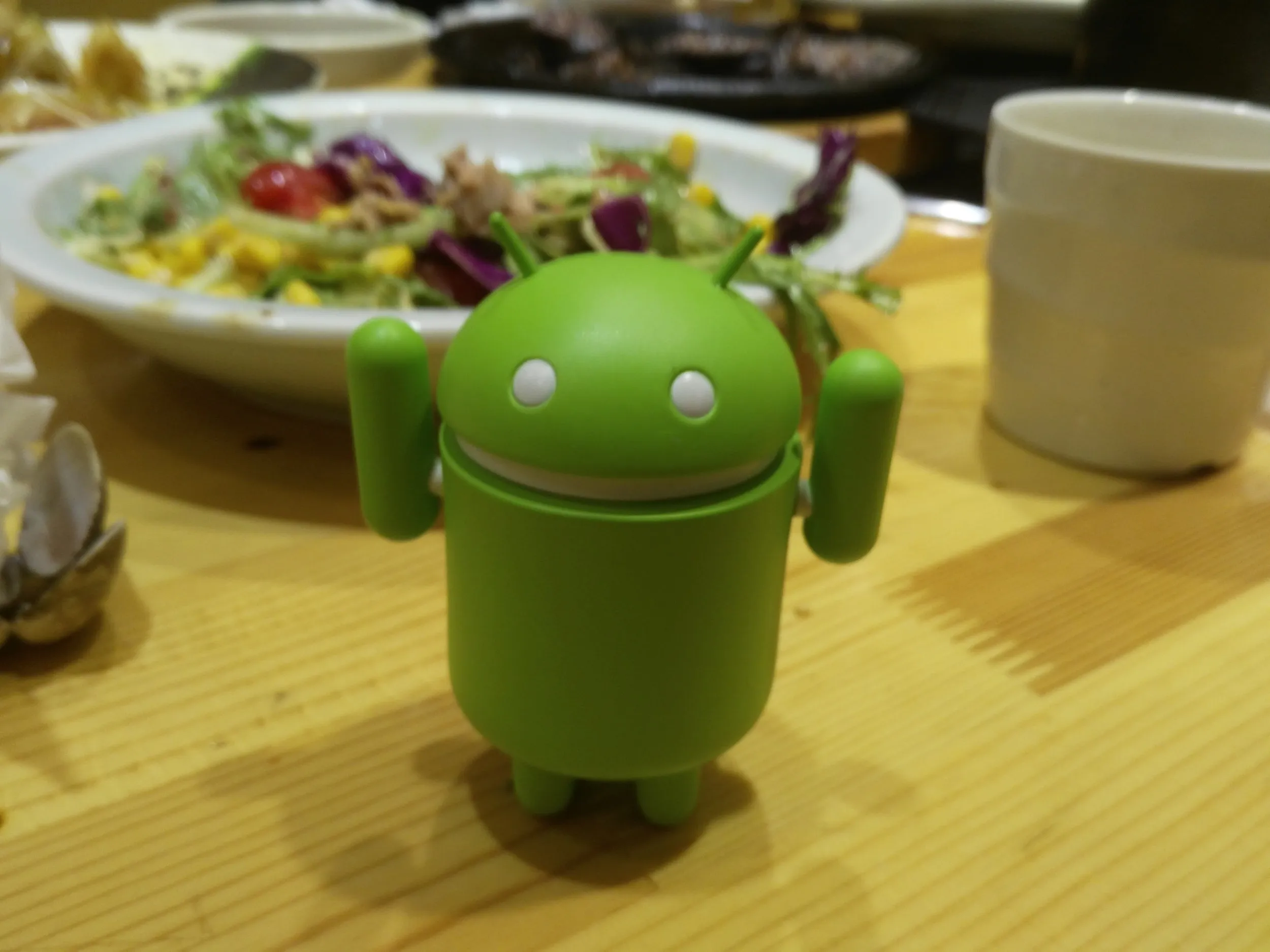 ドロイド君が記念撮影