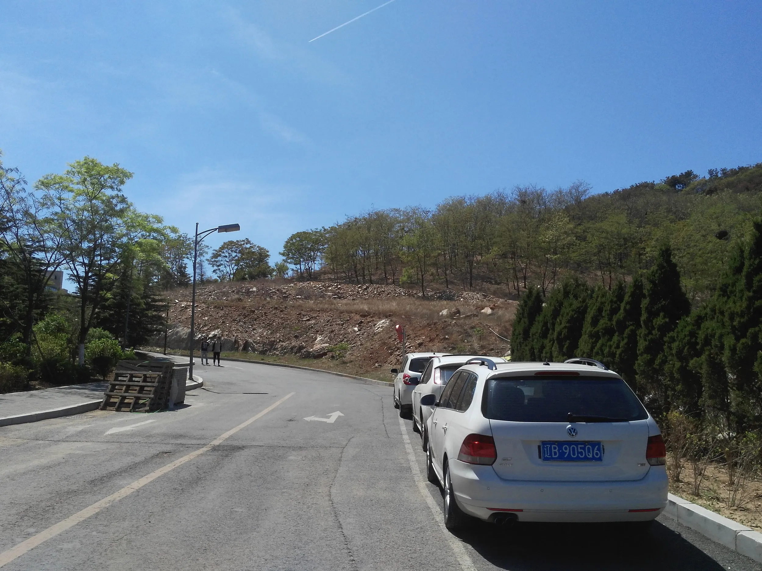 職場の裏山を散歩