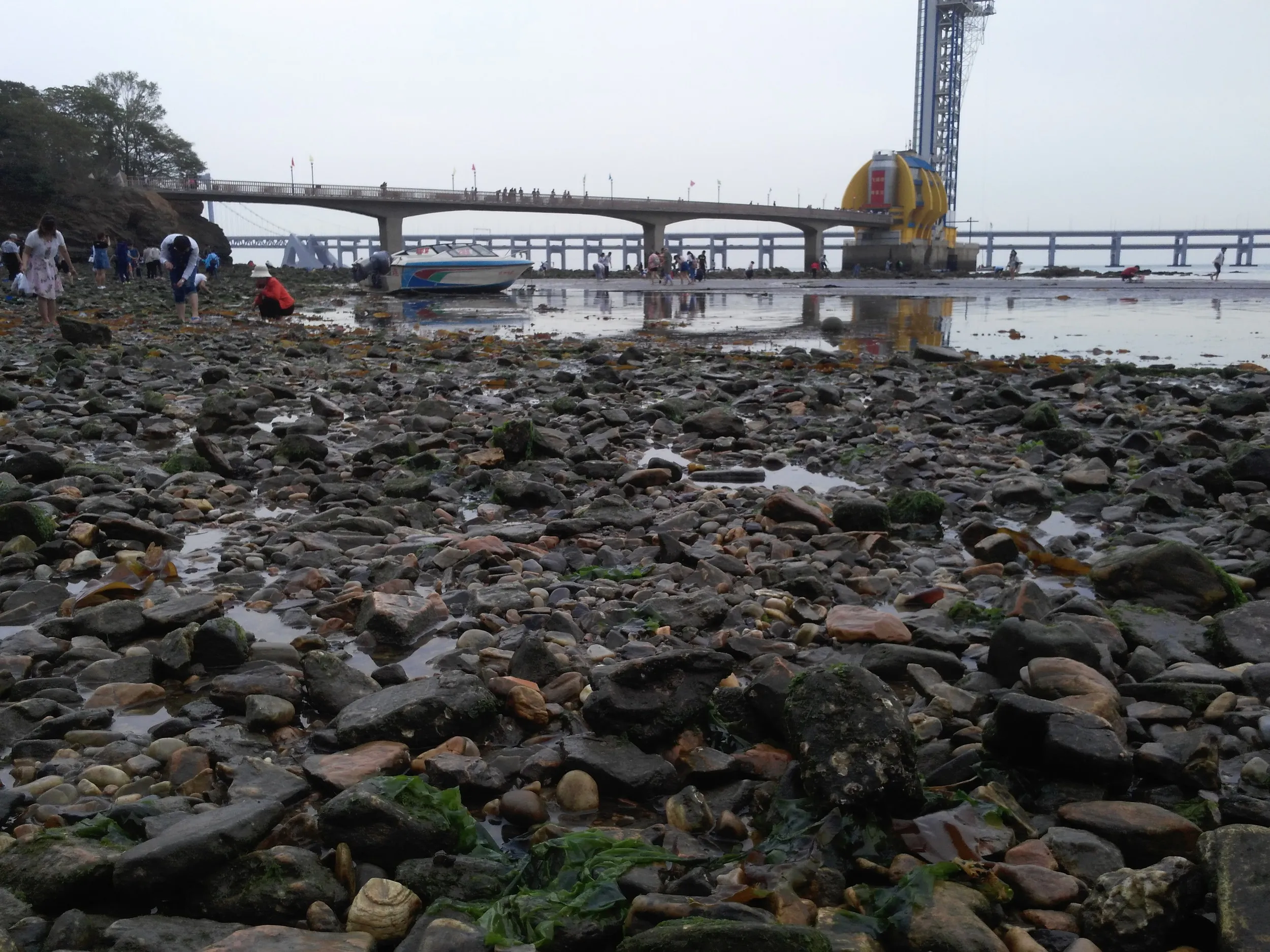 星海公園の風景