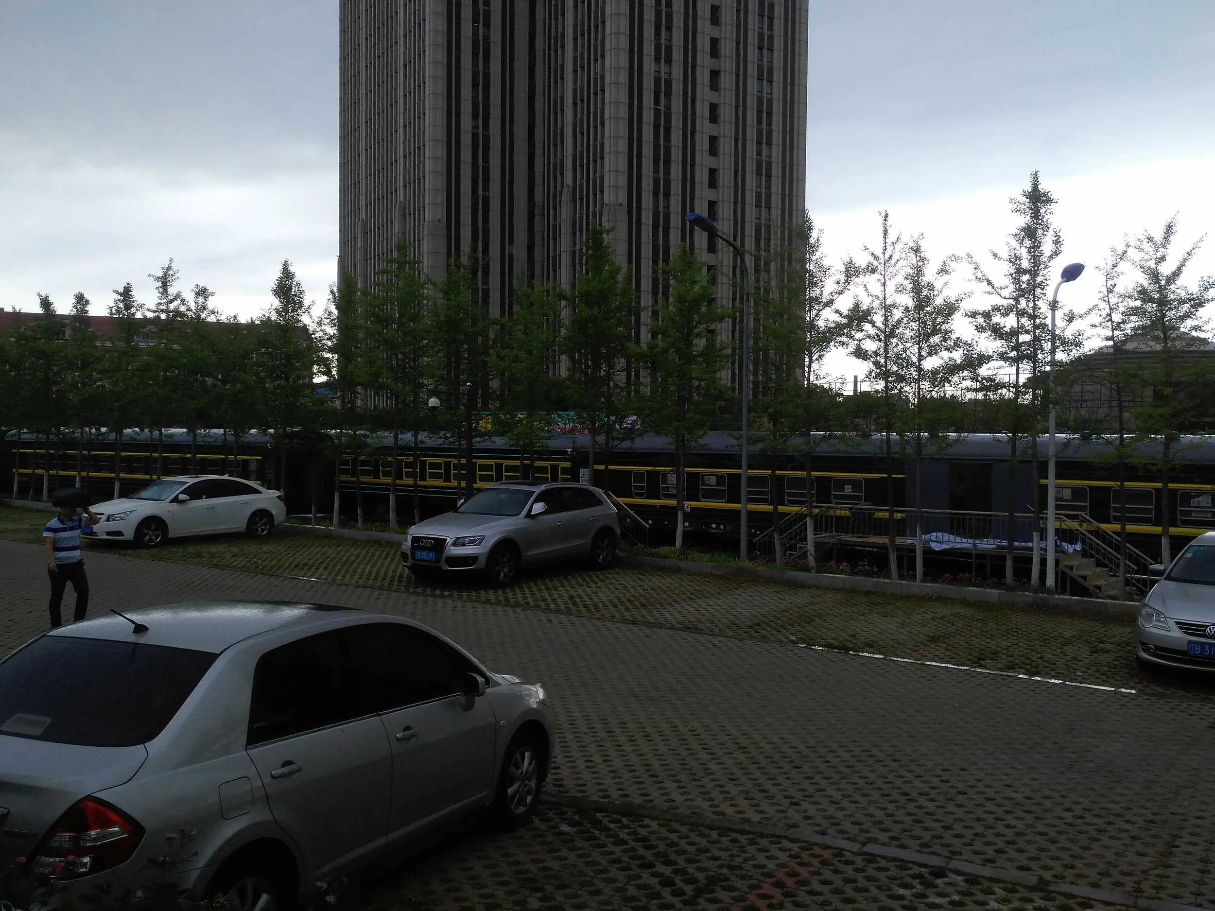 廃棄された列車を観察