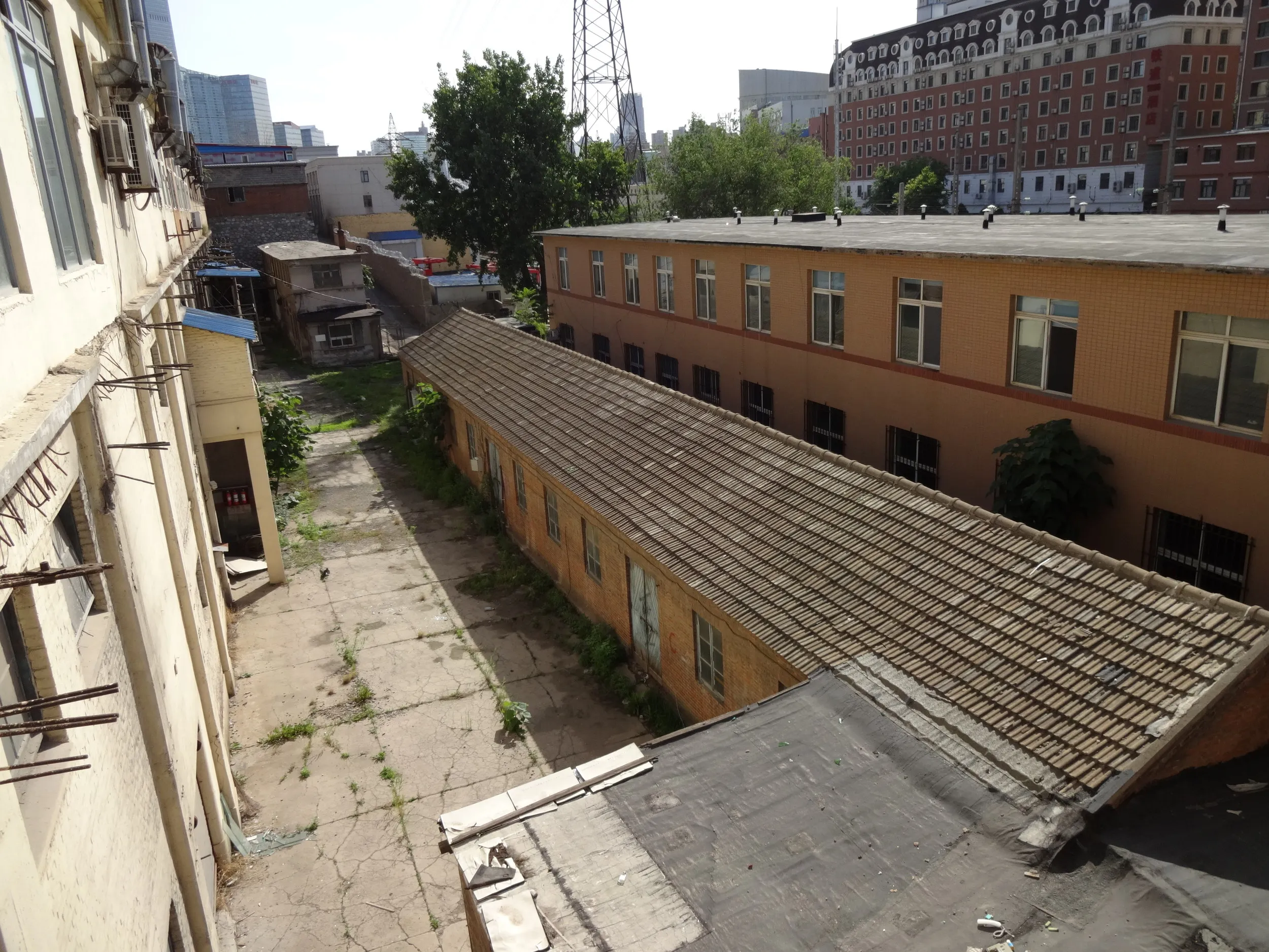 勝利橋の上から