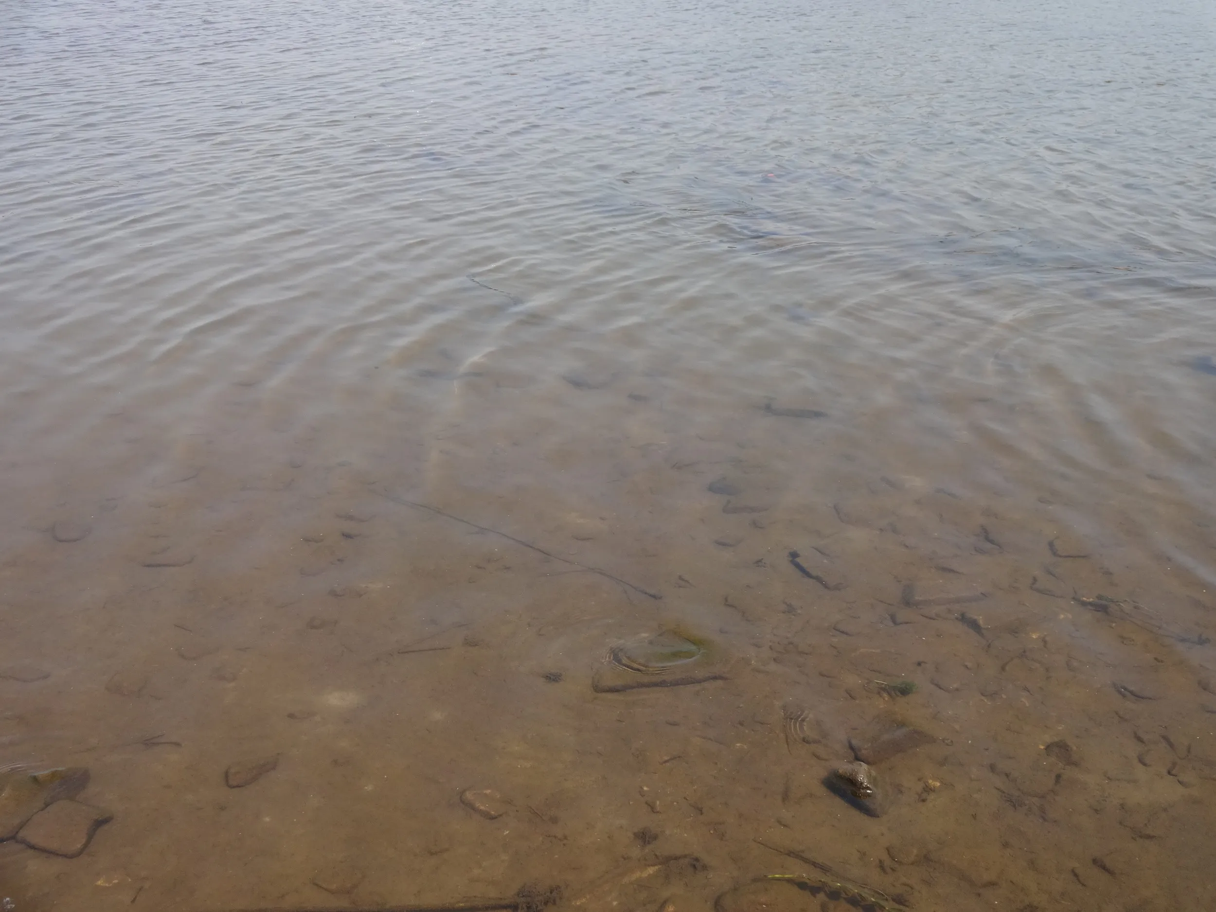 まったりと風景を眺める