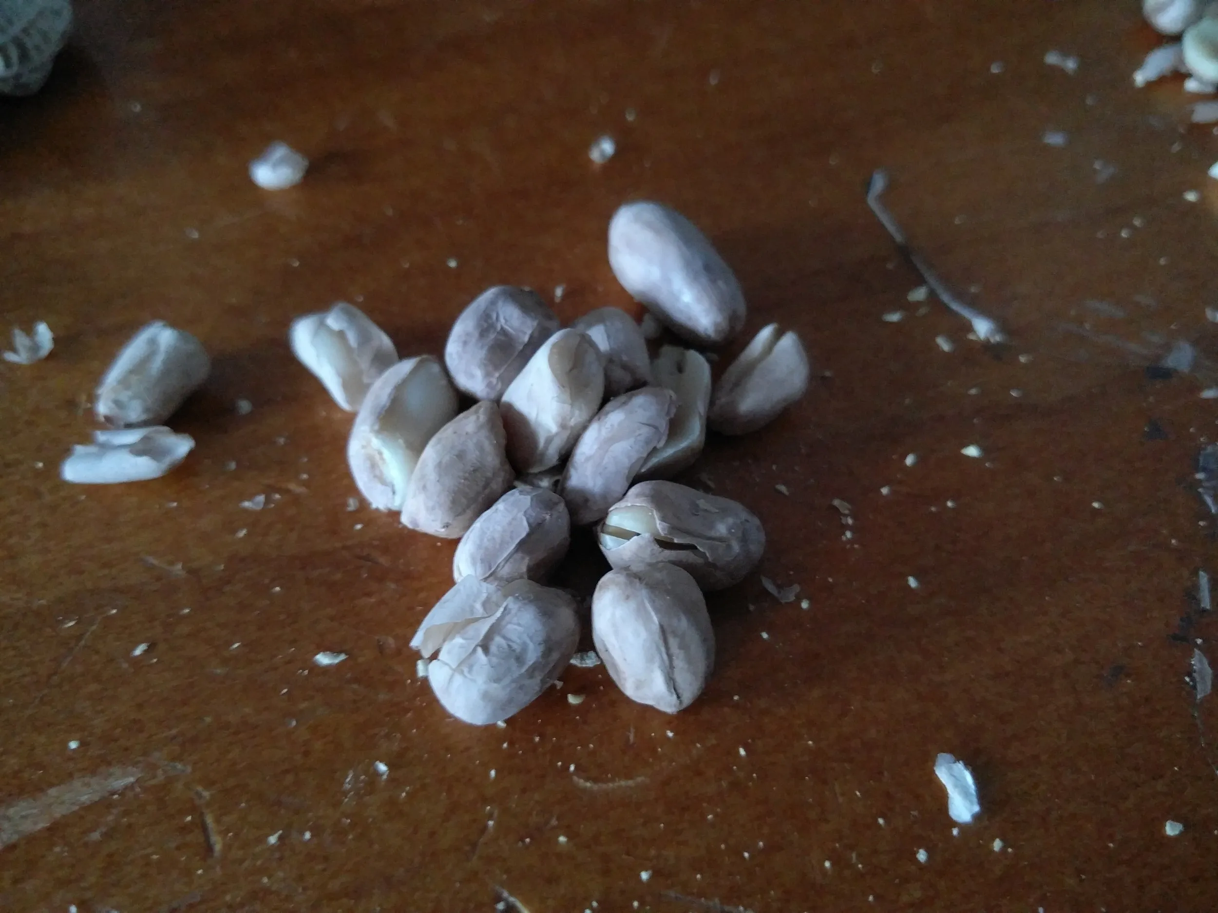 殻付きピーナッツ